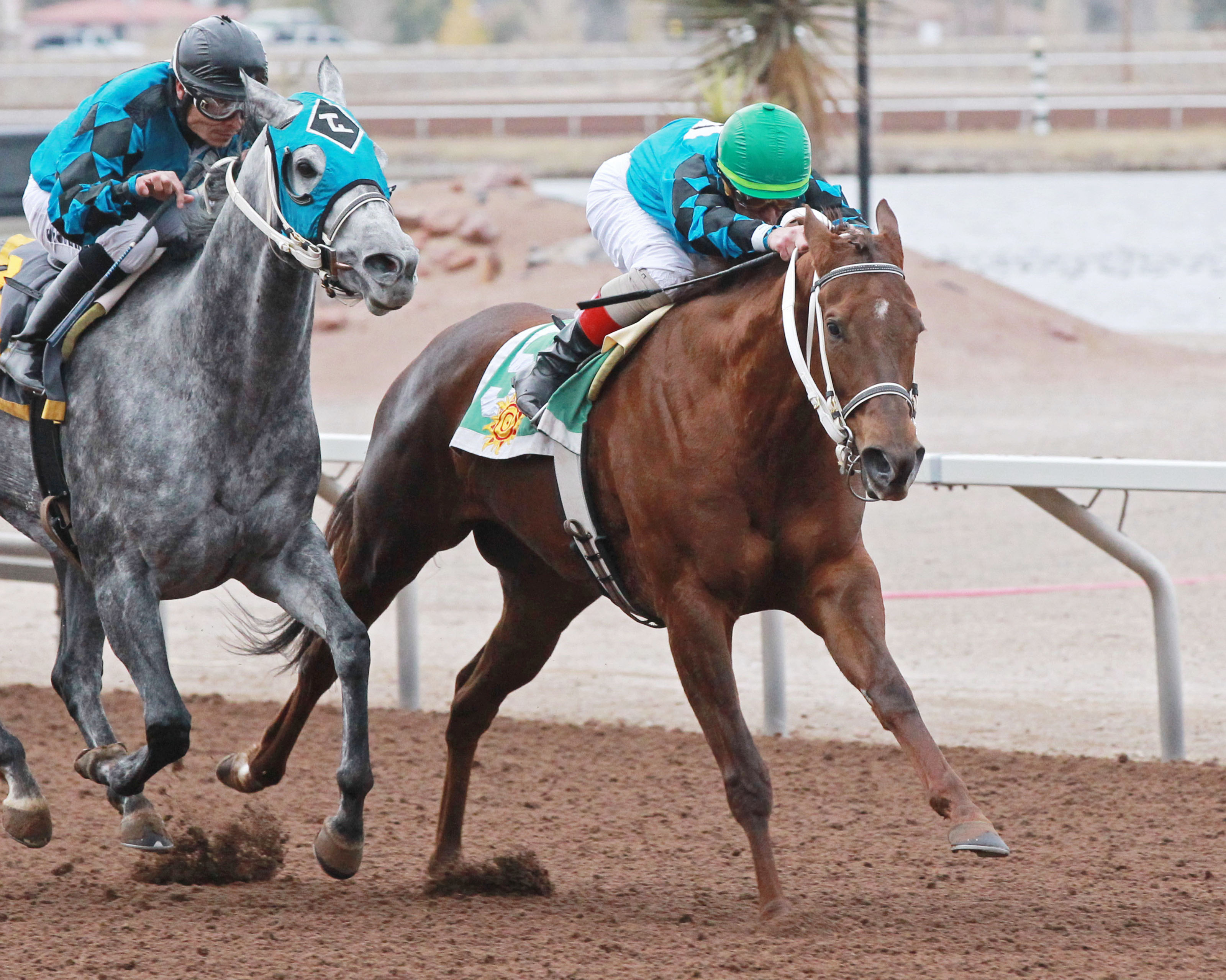 Tilla Cat wins the New Mexico Racing Commission Handicap