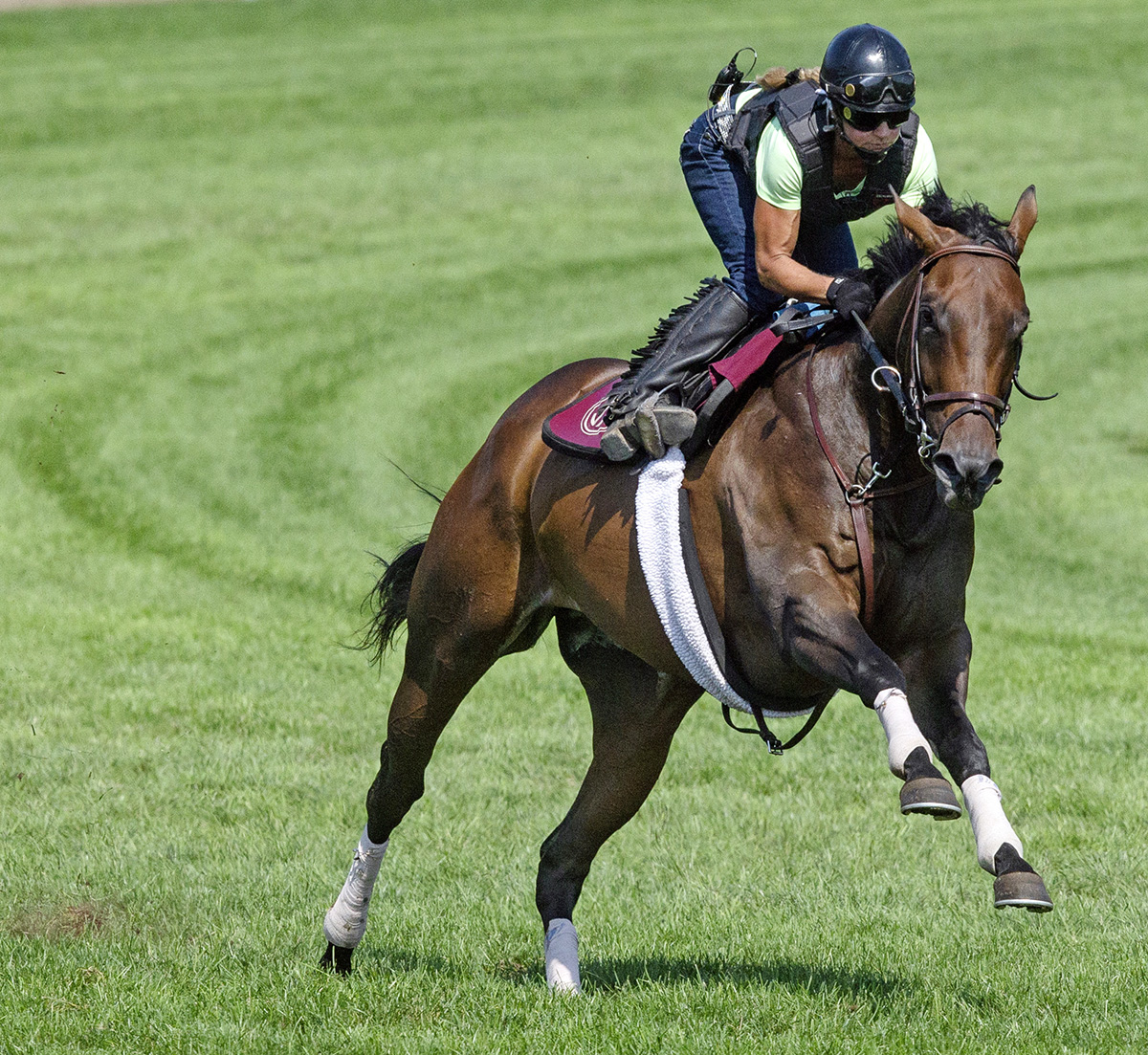 Tillie-s Lily trains at Saratoga on Aug. 6