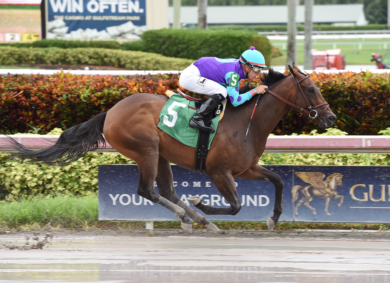 Tillie-s Lily wins a July 21 maiden race
