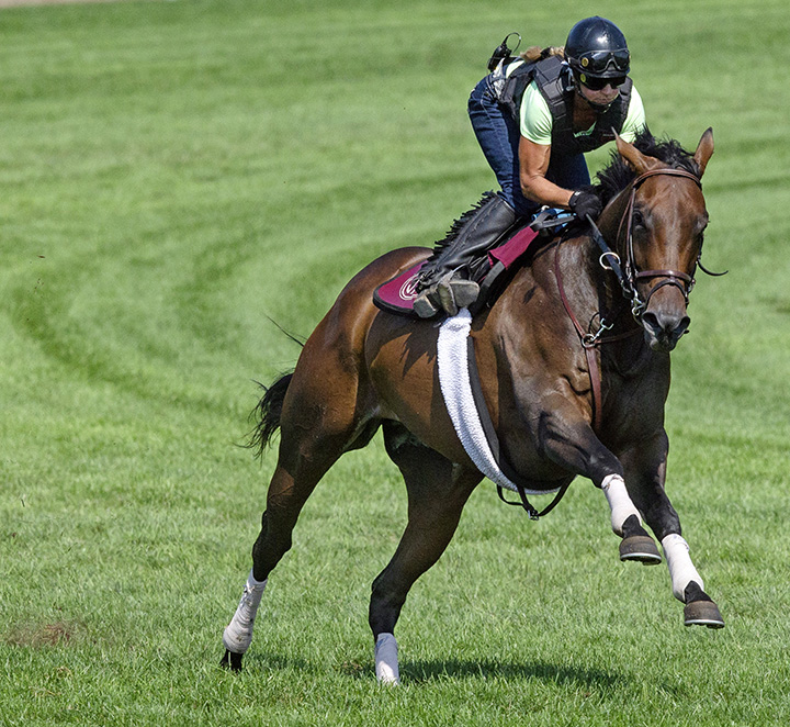 Tillie-s Lily trains at Saratoga on Aug. 6