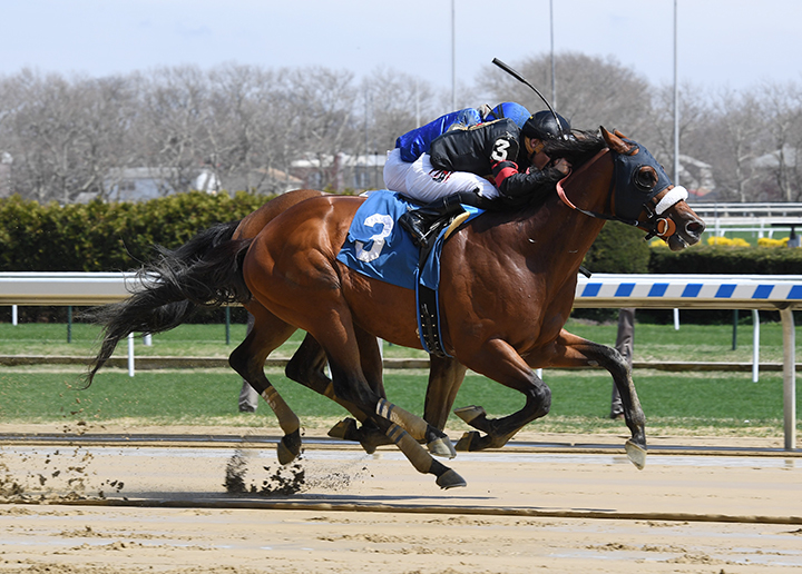Timber Ghost wins an April 13 allowance race