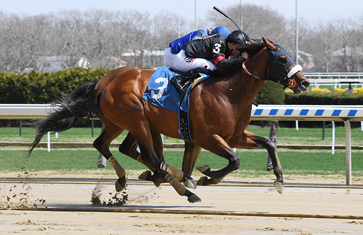 Timber Ghost wins an April 13 allowance race