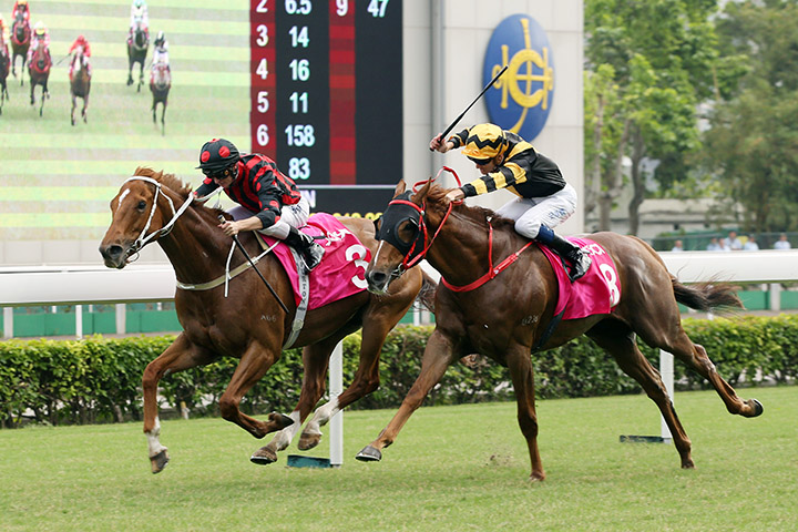 Time Warp beats Glorious Forever in the Sa Sa Ladies Purse