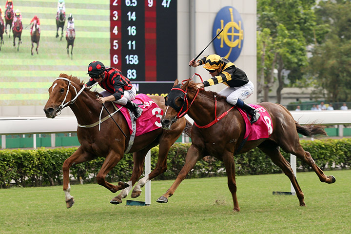 Time Warp beats Glorious Forever in the Sa Sa Ladies Purse