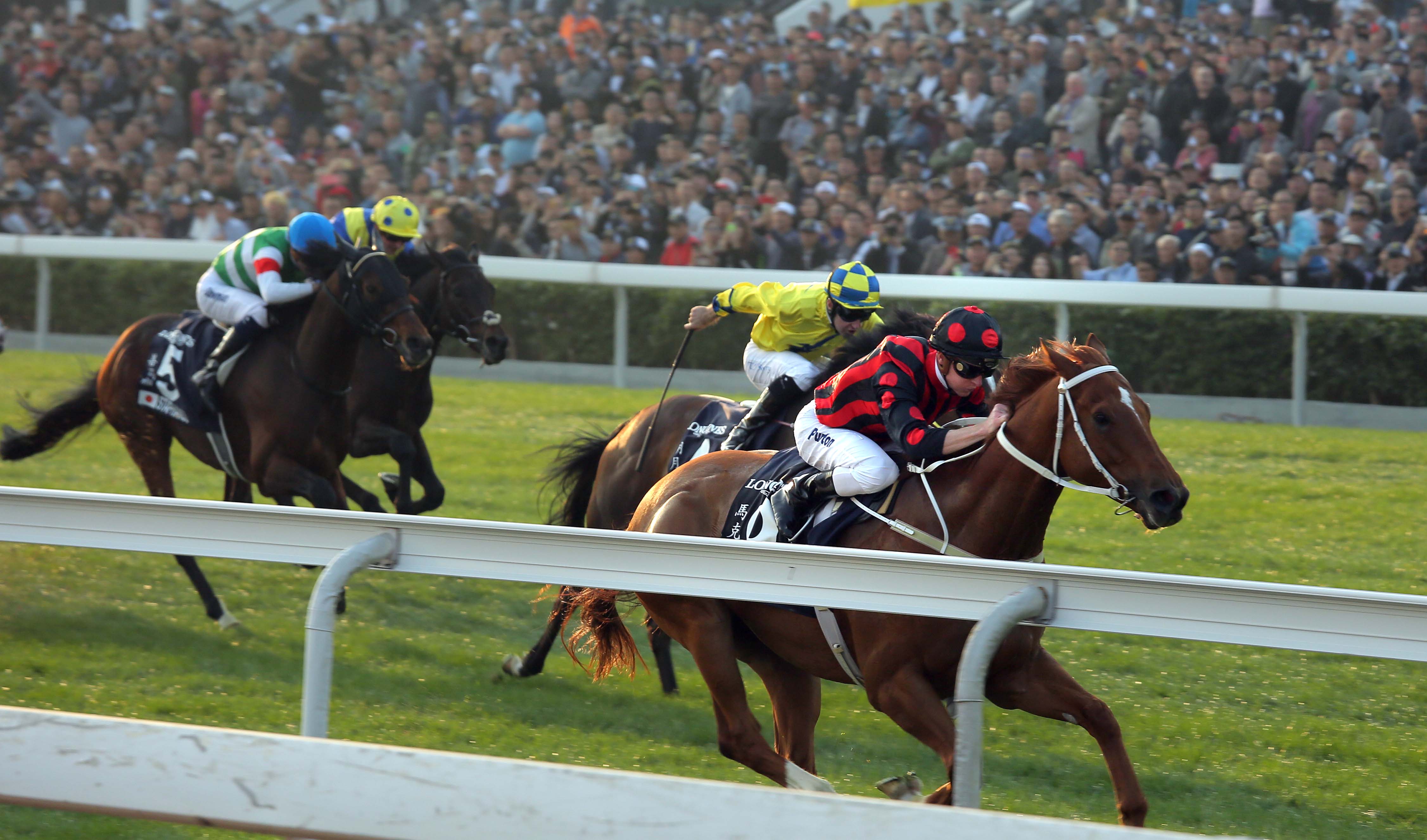 Time Warp wins the 2017 Hong Kong Cup