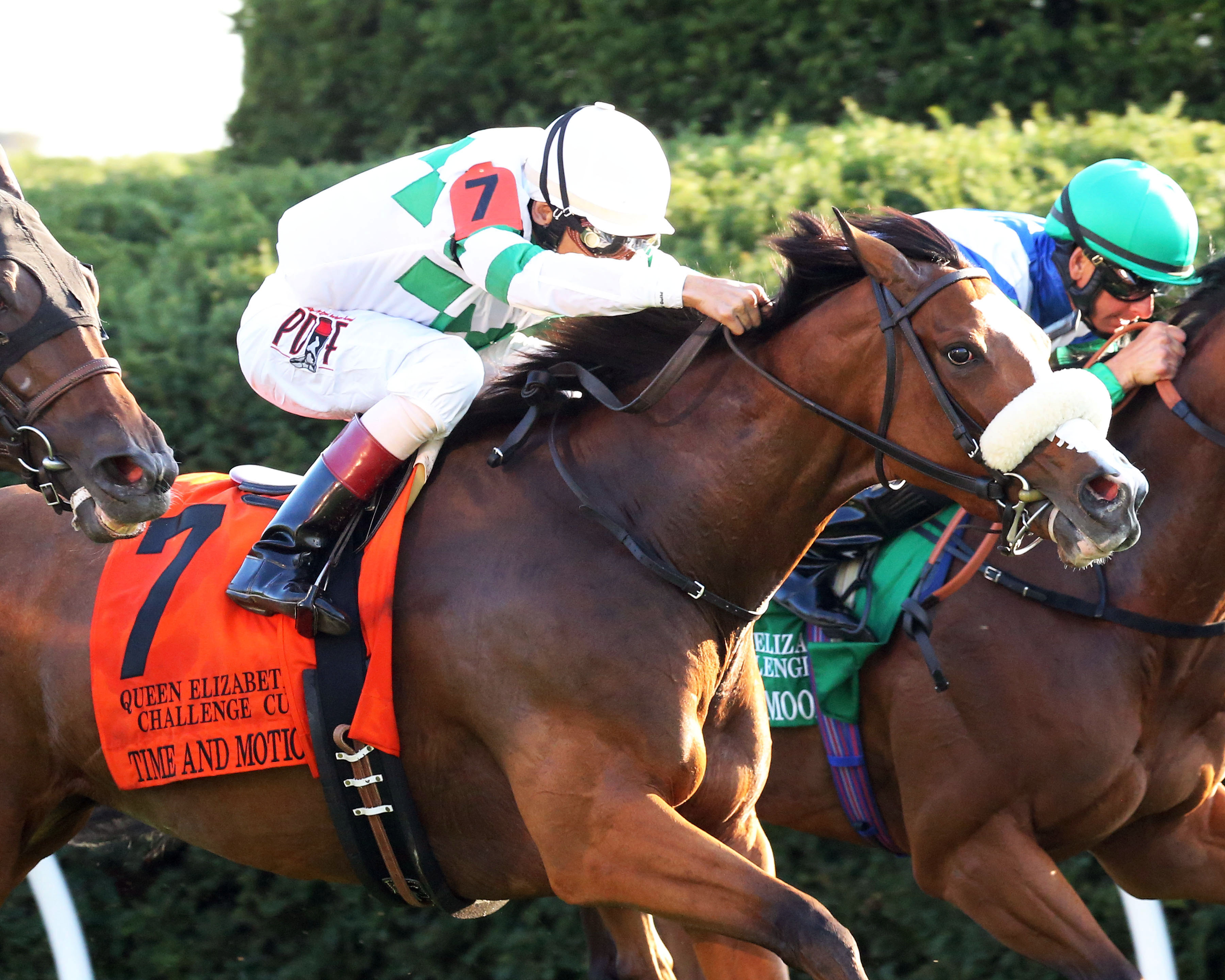 Time and Motion wins the Queen Elizabeth II Challenge Cup