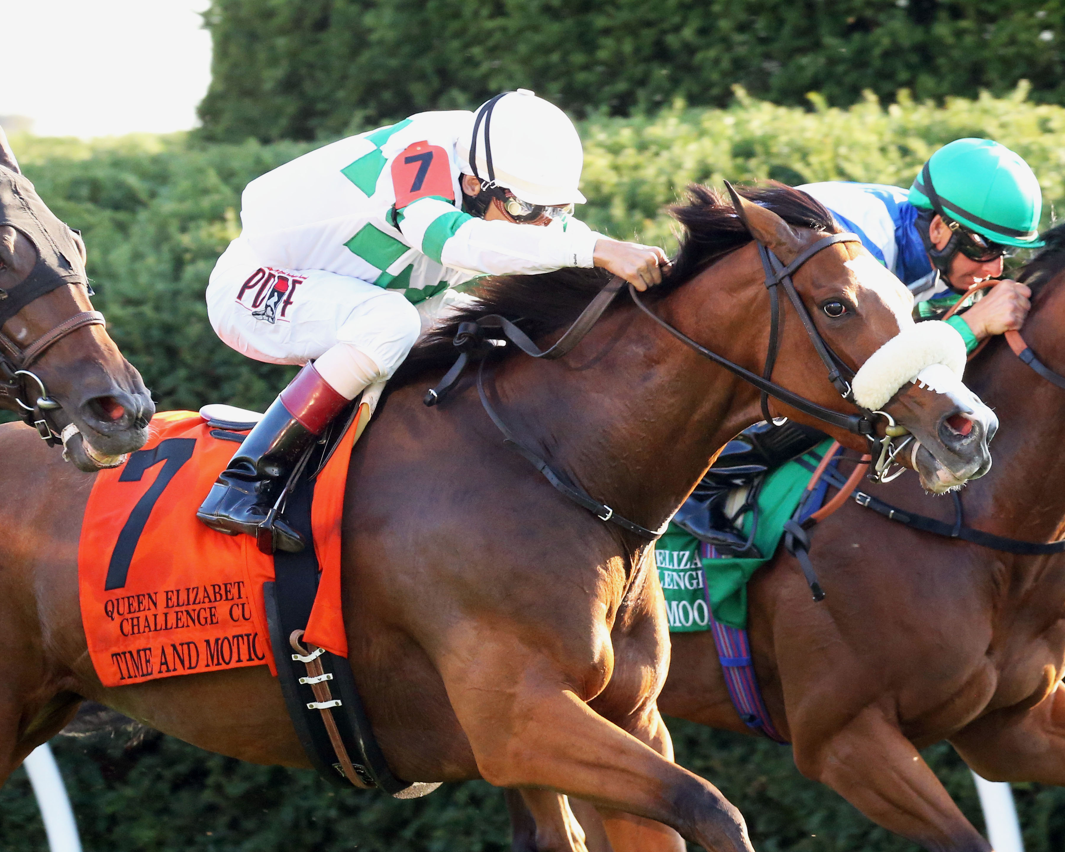 Time and Motion wins the Queen Elizabeth II Challenge Cup