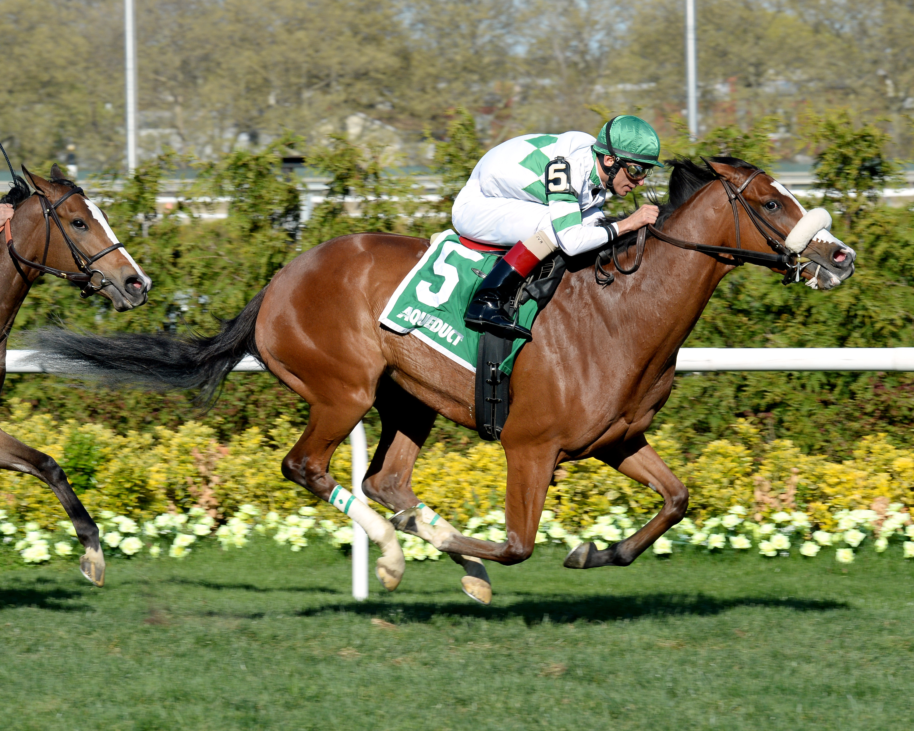 Time and Motion wins the Memories of Silver Stakes