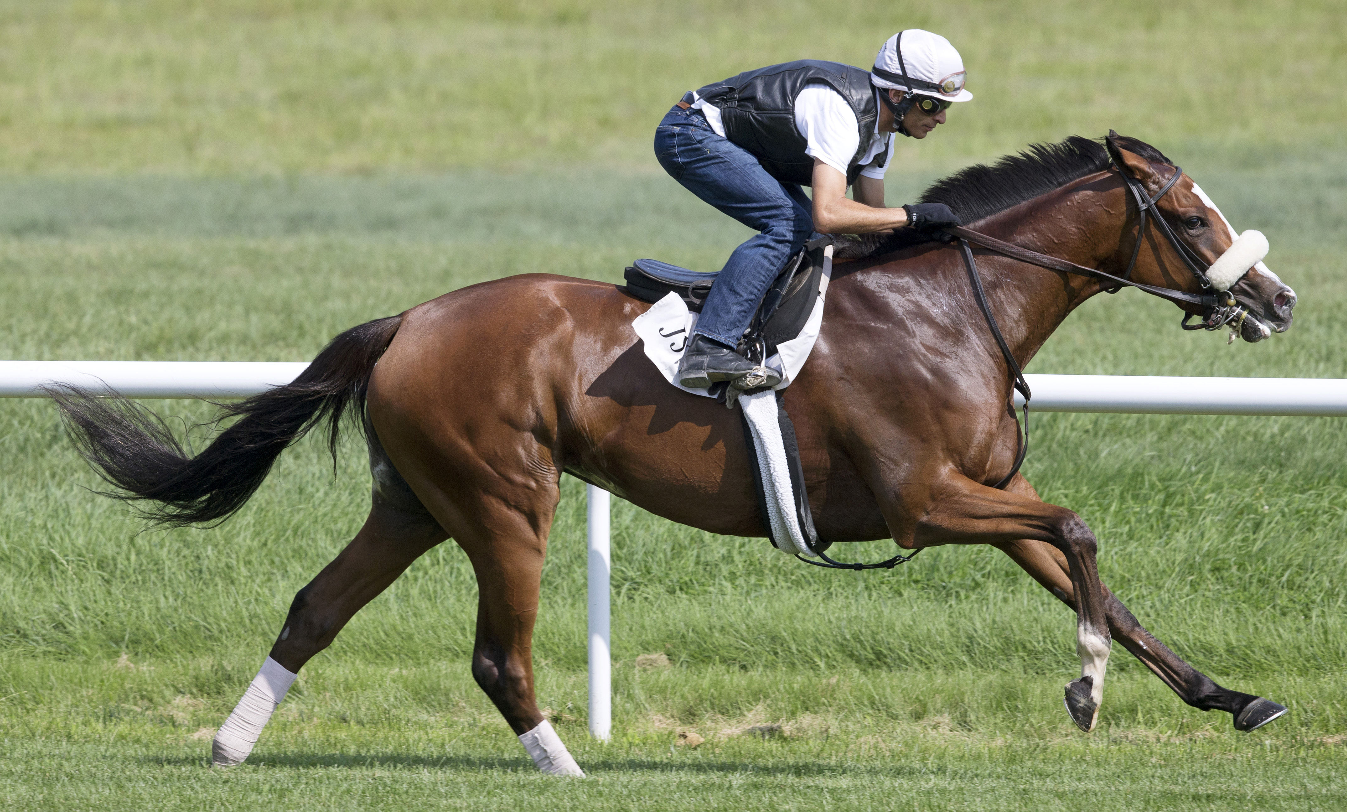 Time and Motion trains at Saratoga on Aug. 6