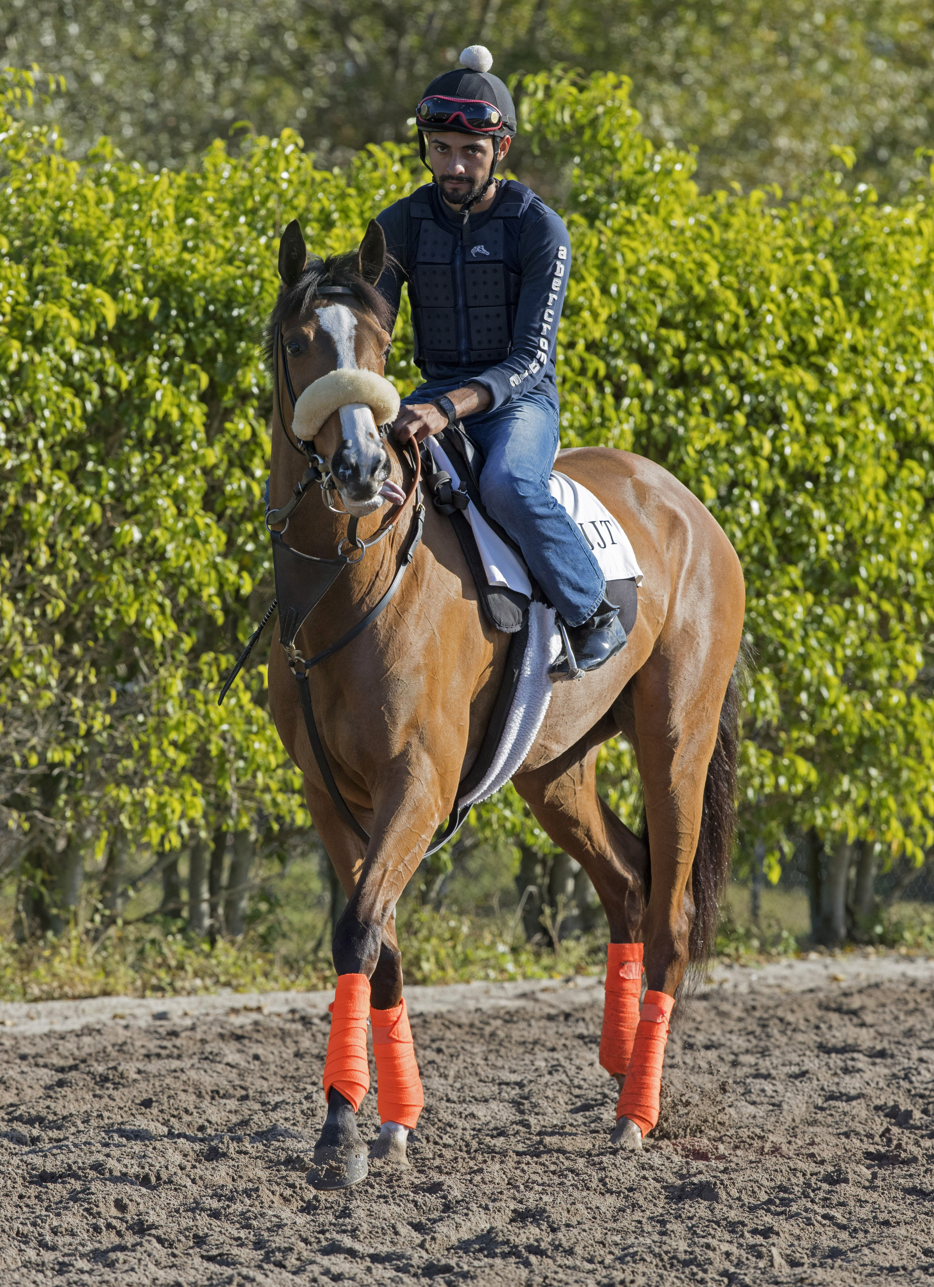 Time and Motion trains at Palm Meadows on Feb 2