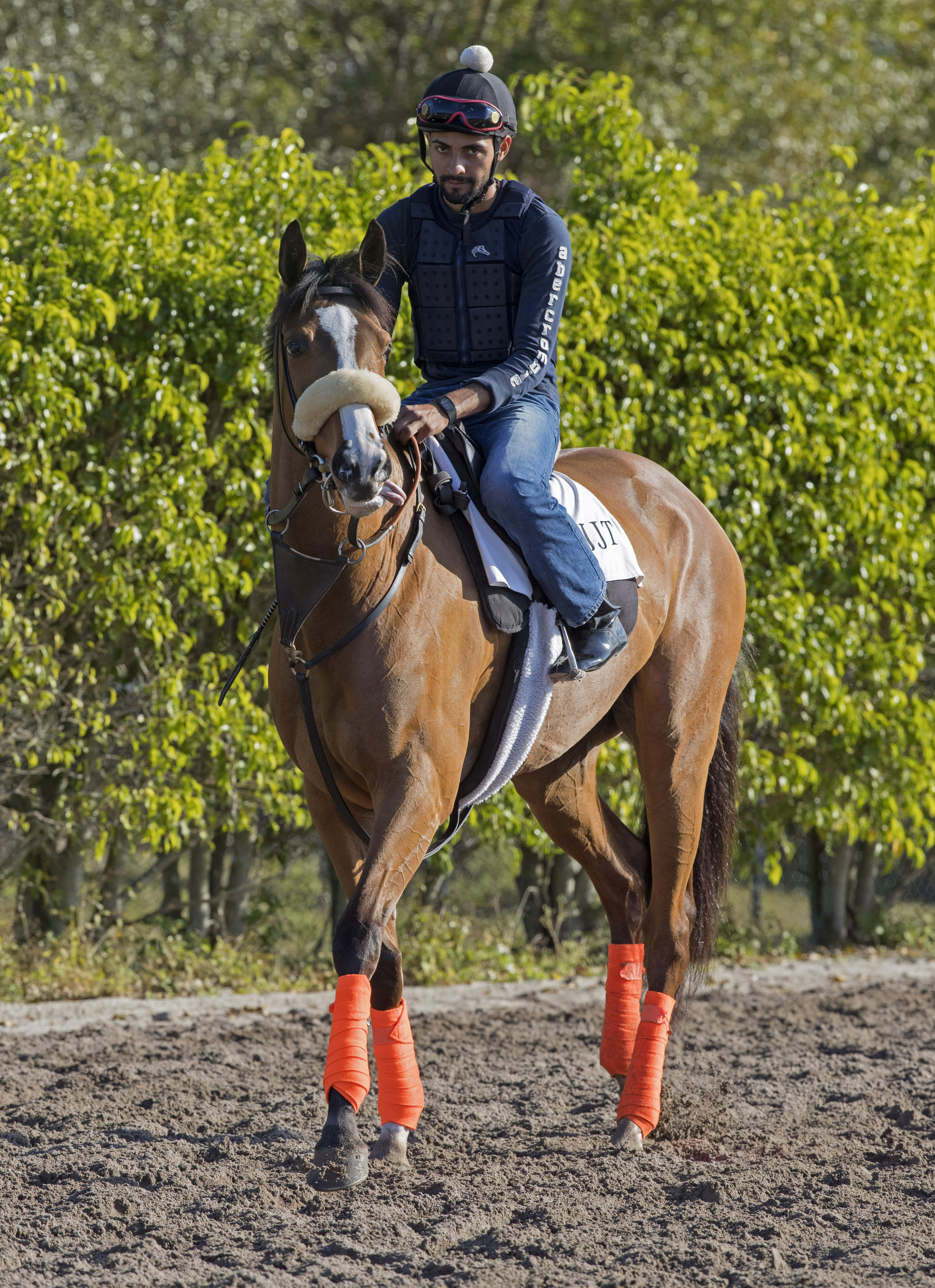 Time and Motion at Palm Meadows in February 2017
