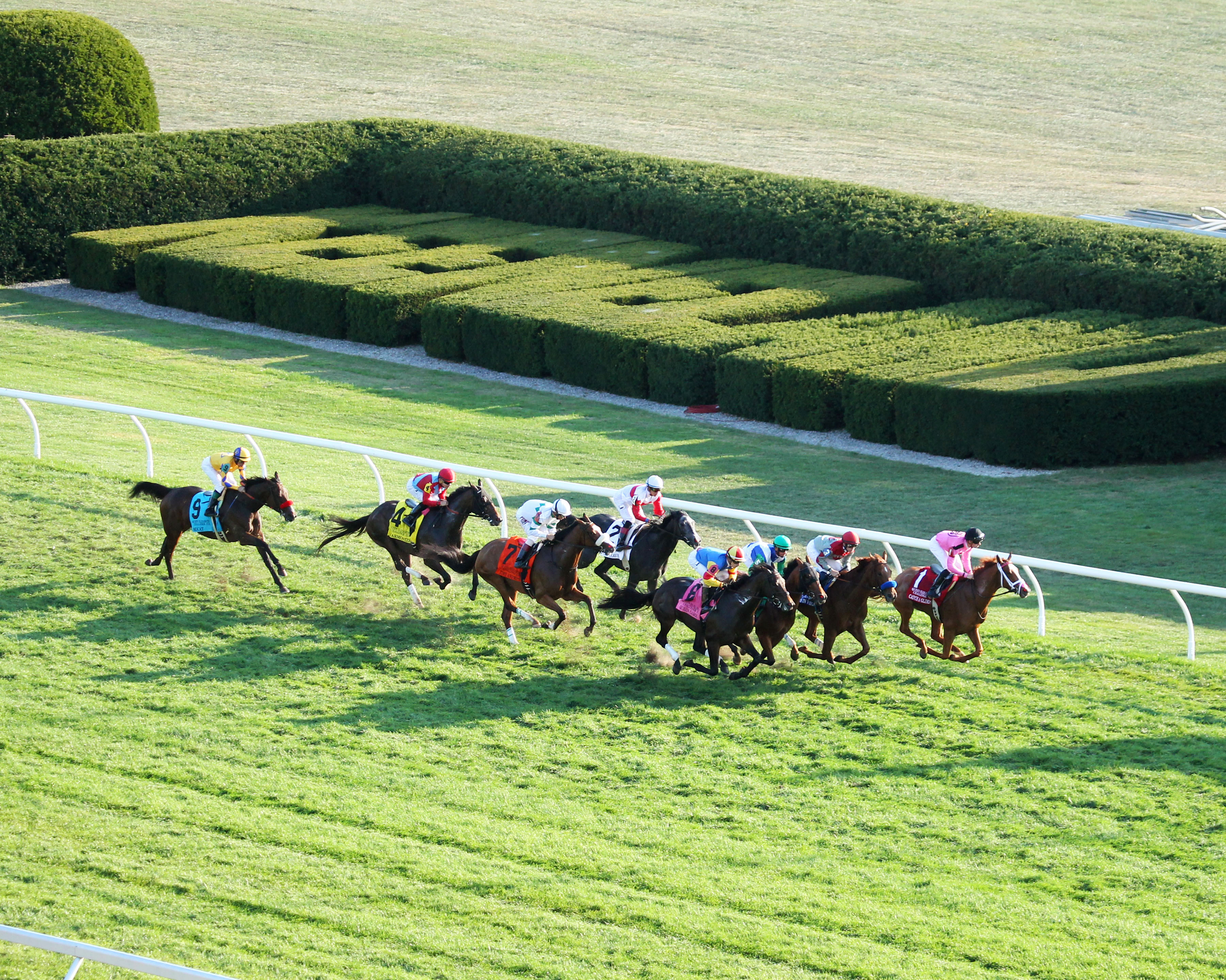 Keeneland turf racing