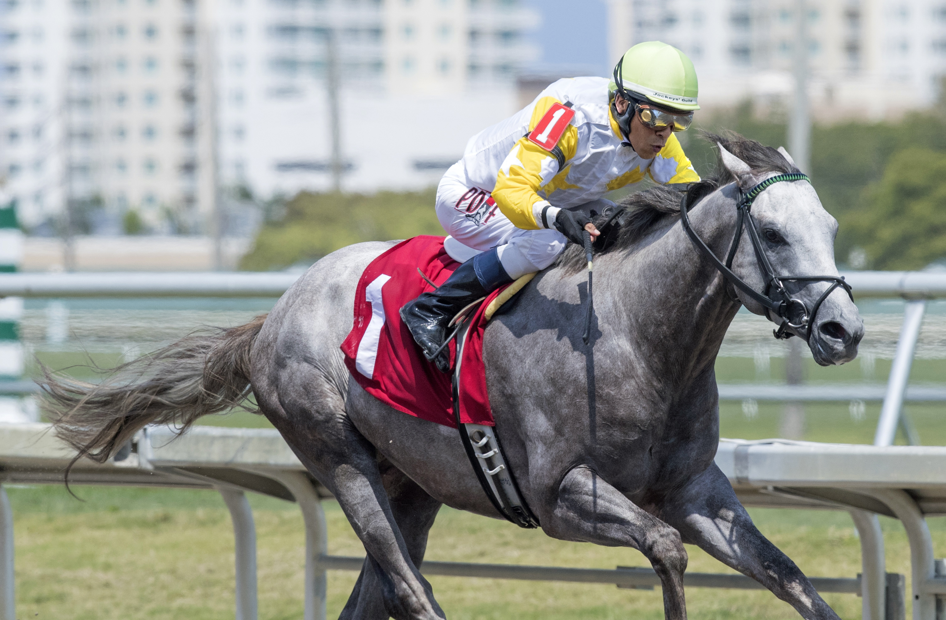 Time to Travel wins a maiden race