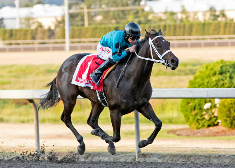 Time for Gold wins the 2020 Angie C Stakes at Emerald Downs