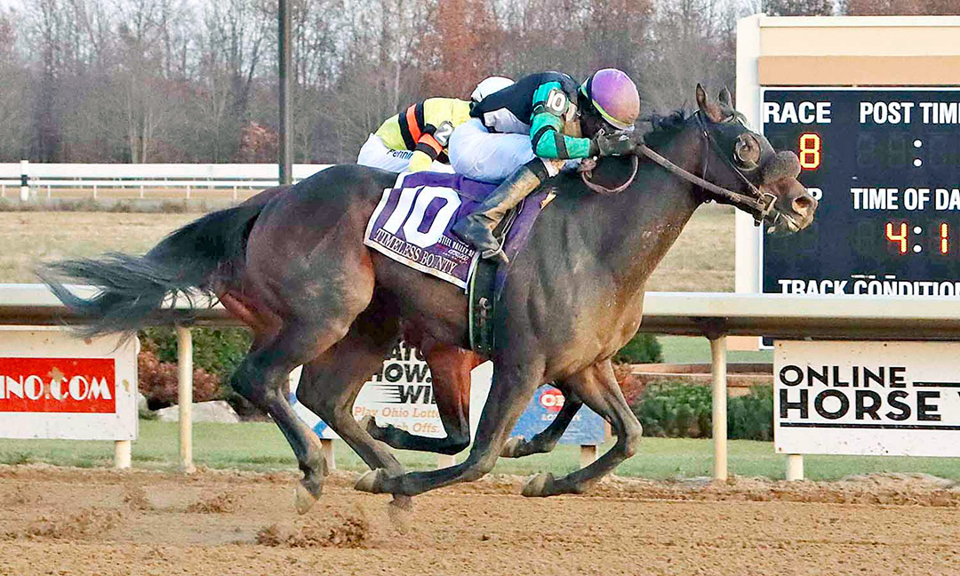 Timeless Bounty wins the 2021 Steel Valley Sprint at Mahoning Valley