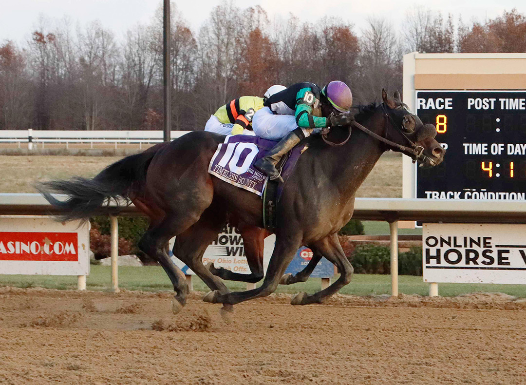 Timeless Bounty wins the 2021 Steel Valley Sprint at Mahoning Valley Racecourse