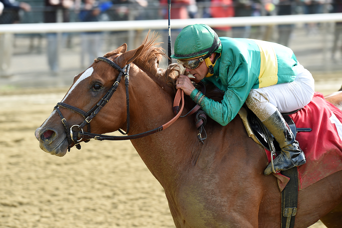 Timeline wins a June 3 allowance