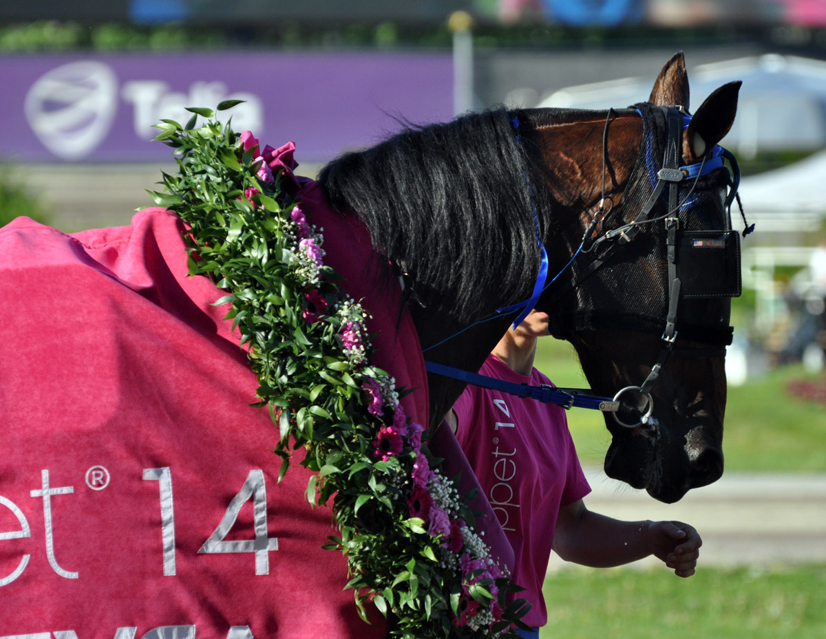 Timoko