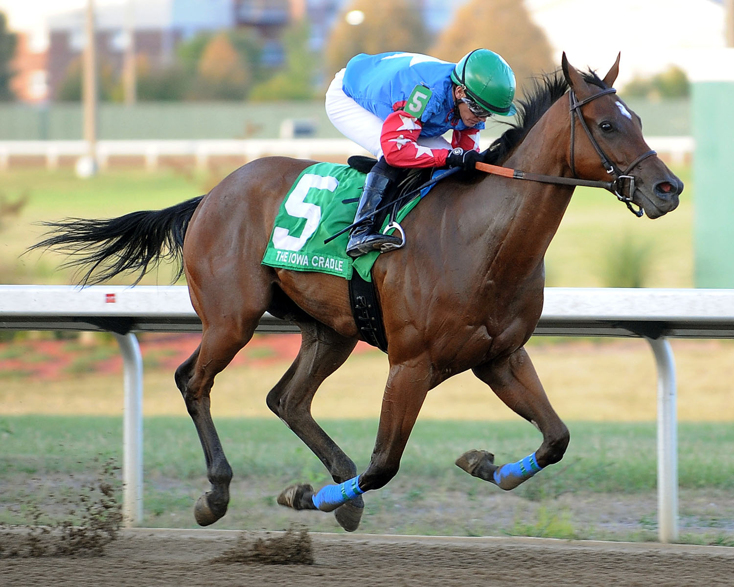 Tin Badge wins the 2017 Iowa Cradle Stakes
