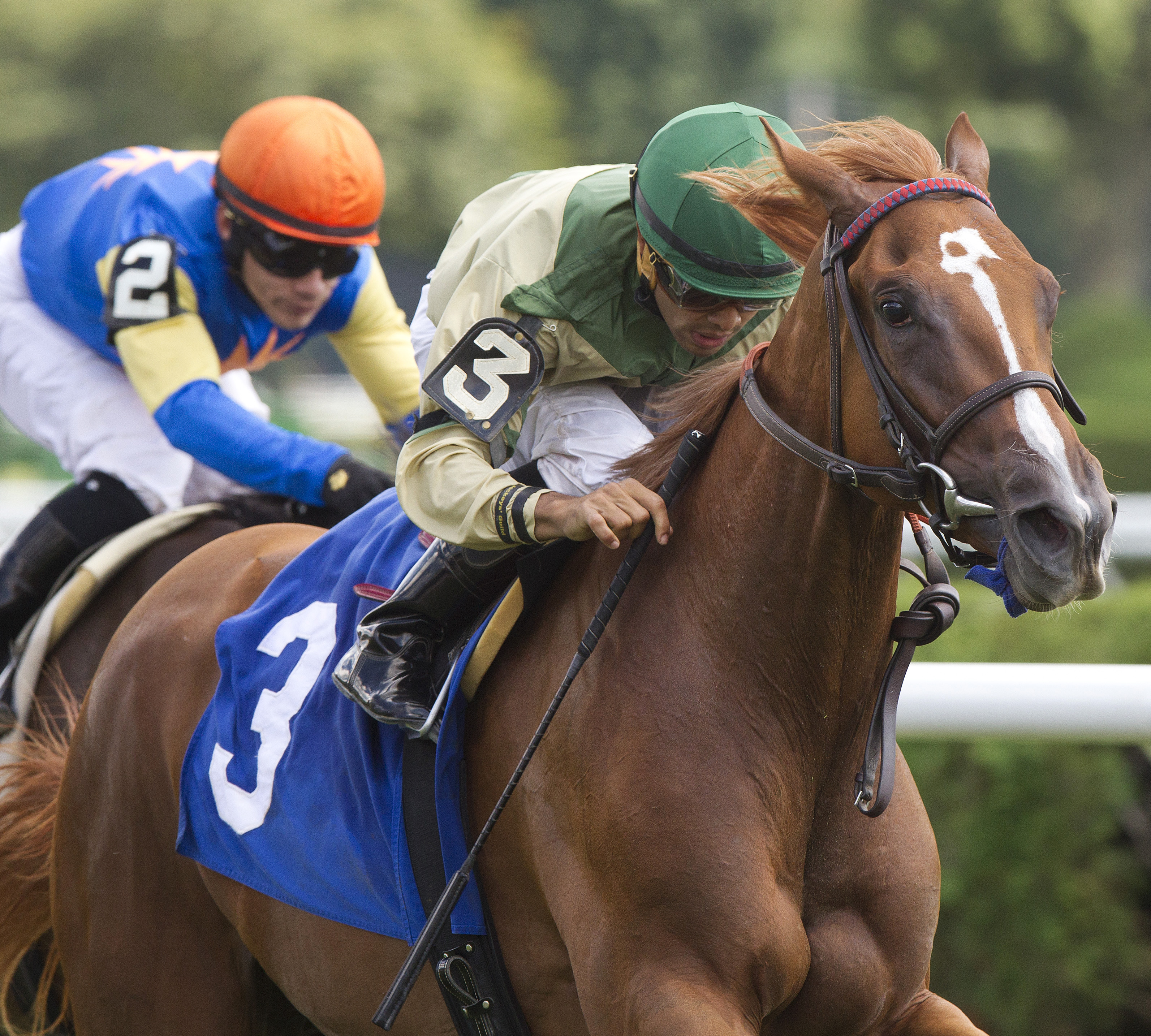 Tin Type Gal wins a maiden race at Saratoga