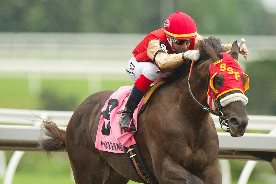 Tio Magico wins the 2021 Queenston Stakes at Woodbine