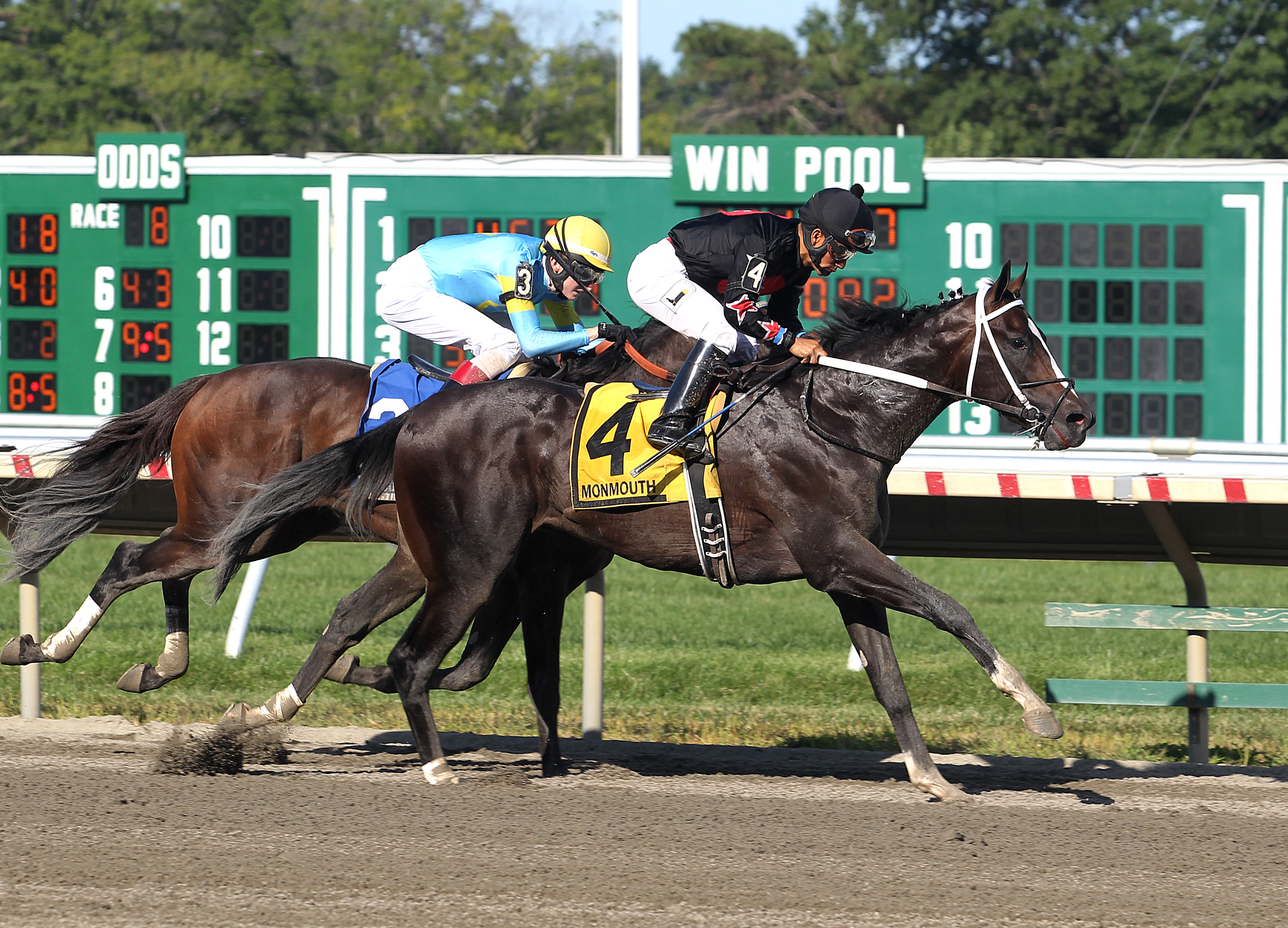 Tip Tap Tapizar wins the Sapling Stakes
