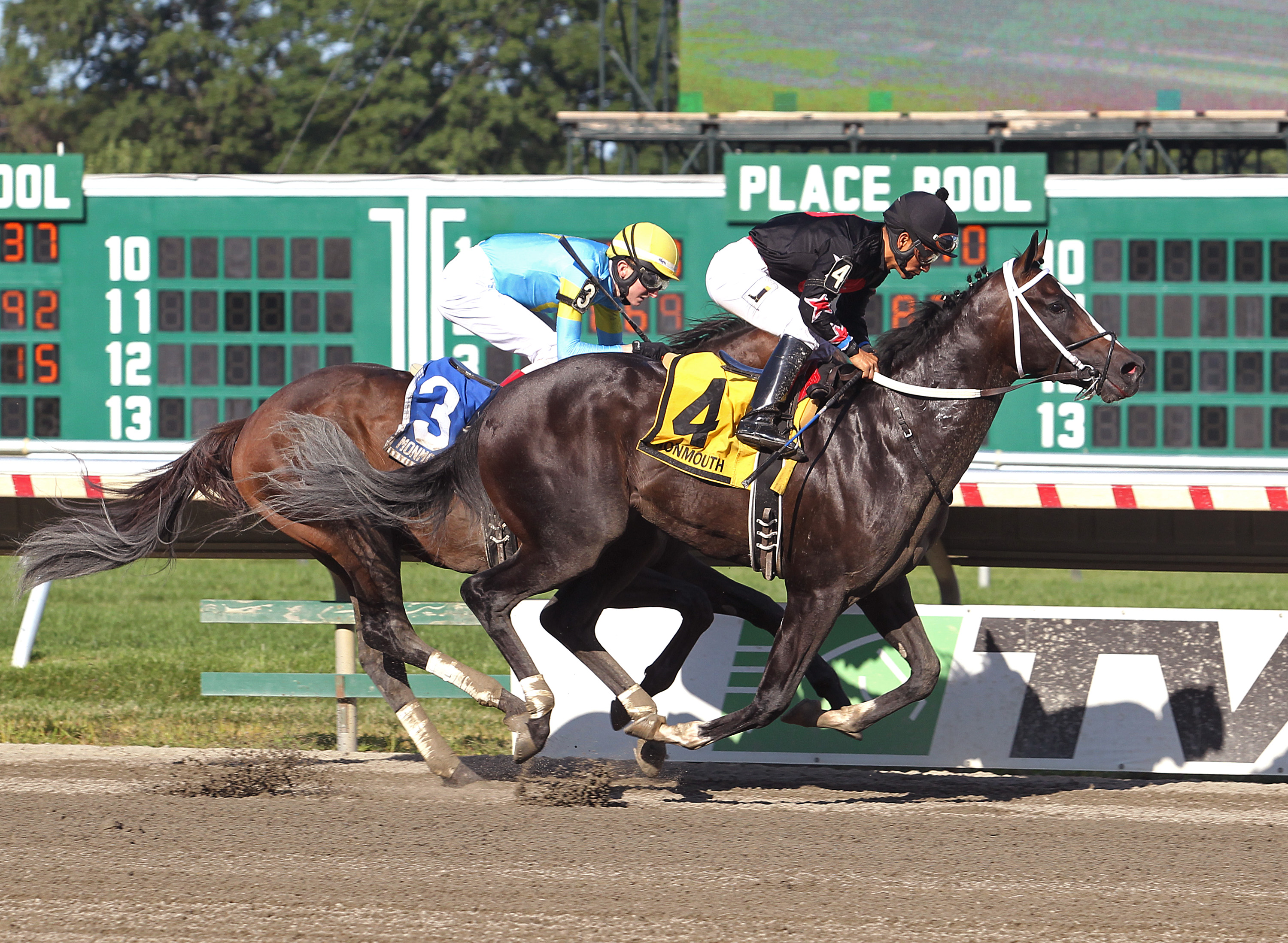Tip Tap Tapizar 9-4-2016