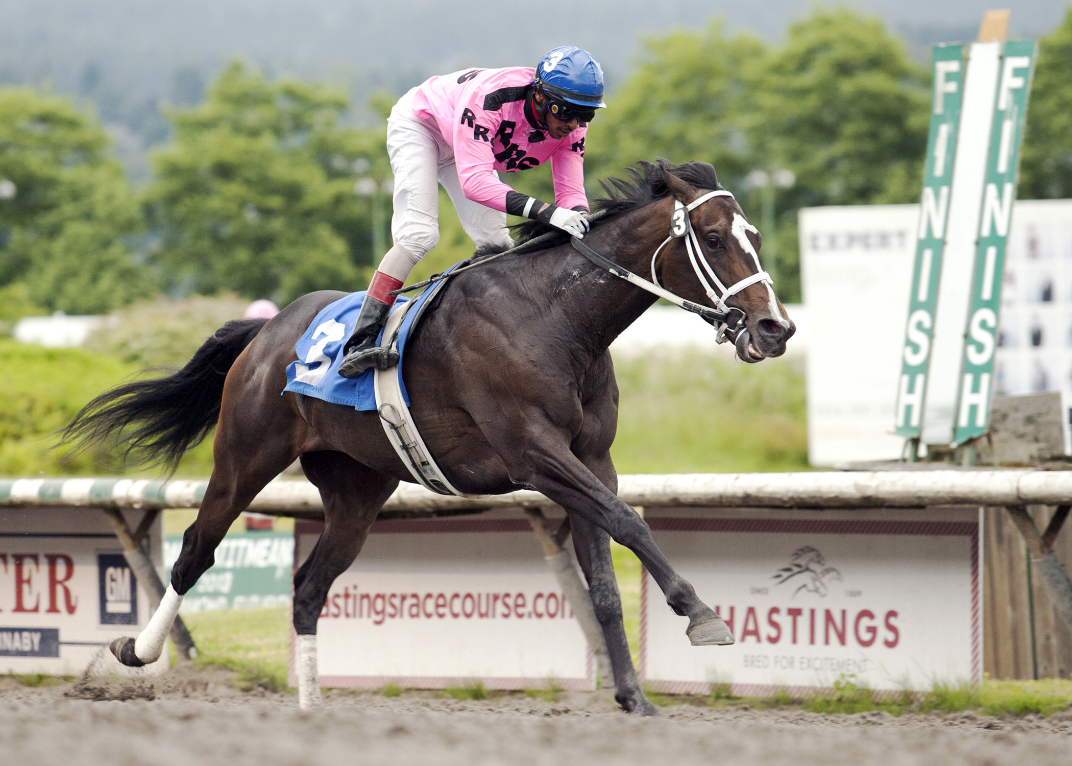 Title Contender wins the Sir Winston Churchill