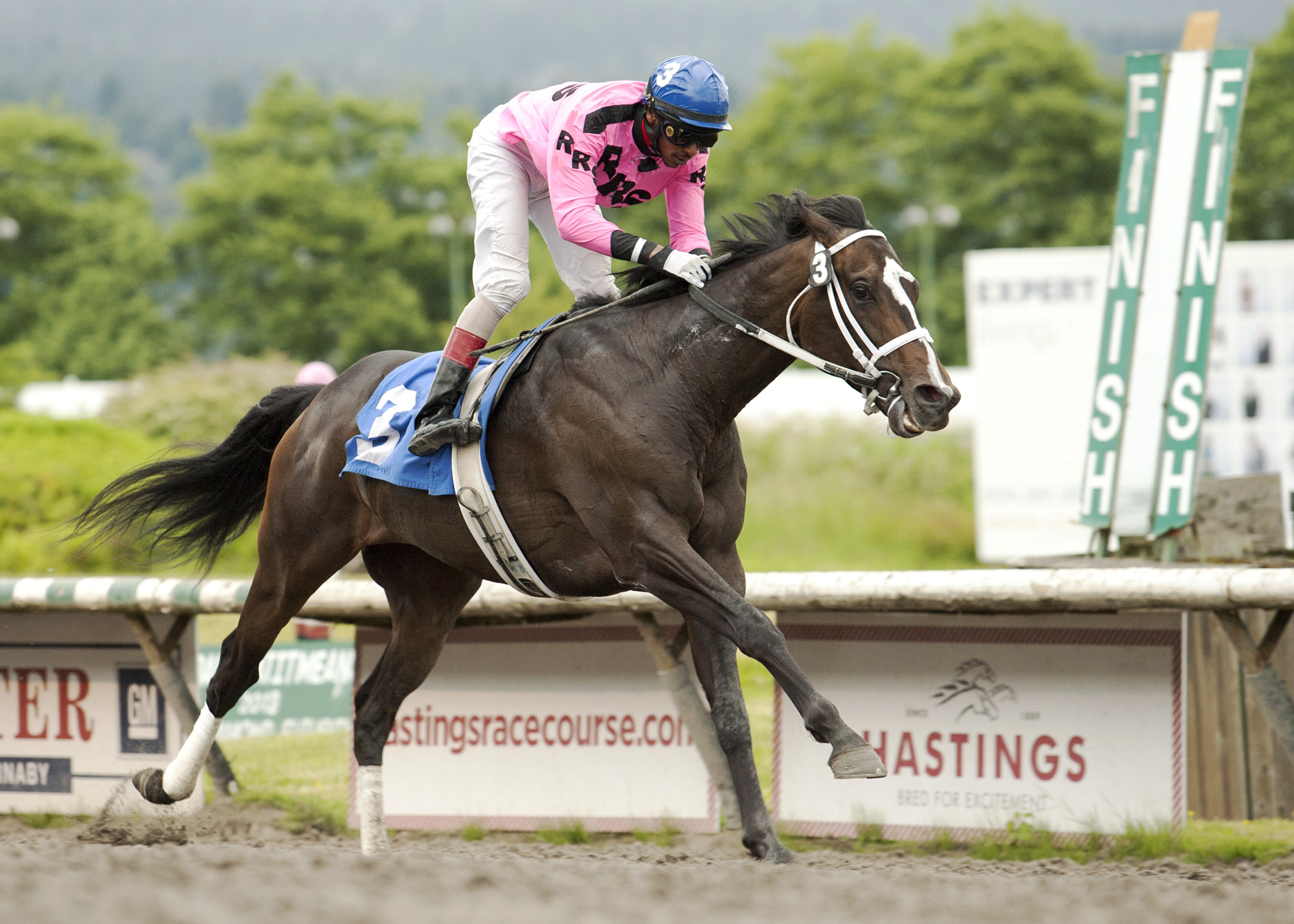Title Contender wins the 2014 Sir Winston Churchill