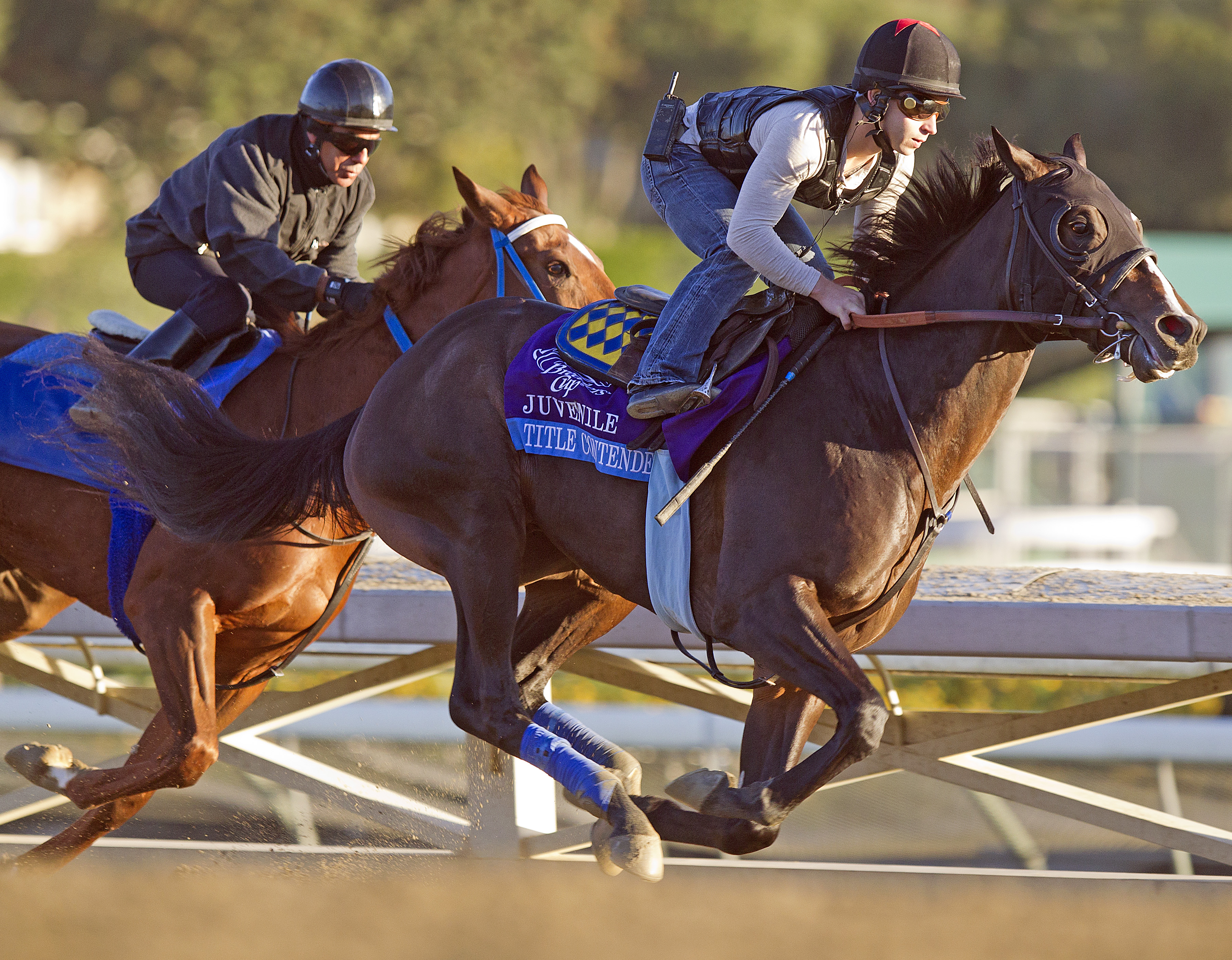Title Contender03.10-28-12.BL.jpg