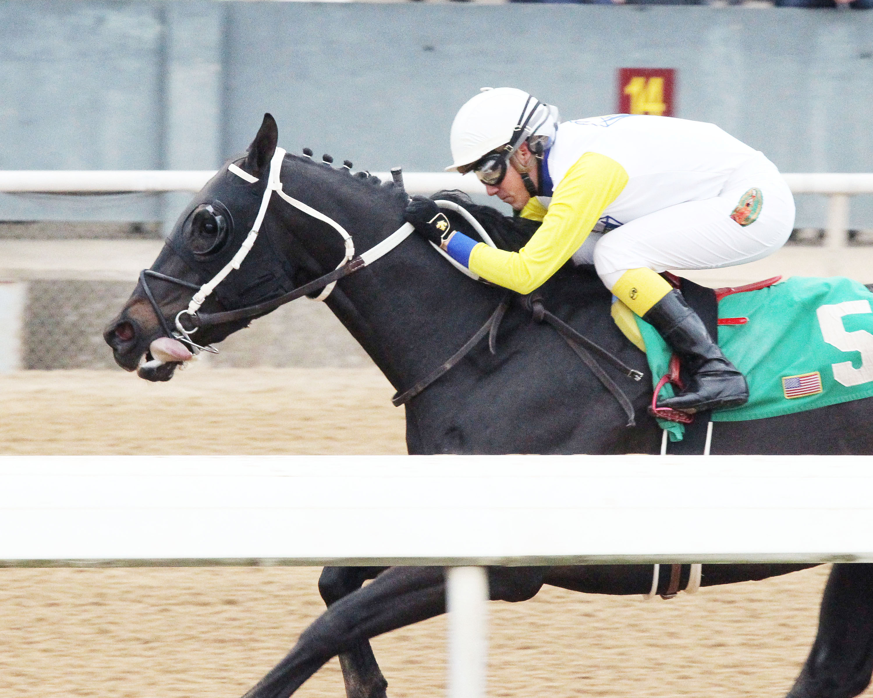 Title Ready wins a Feb. 1 allowance at Oaklawn