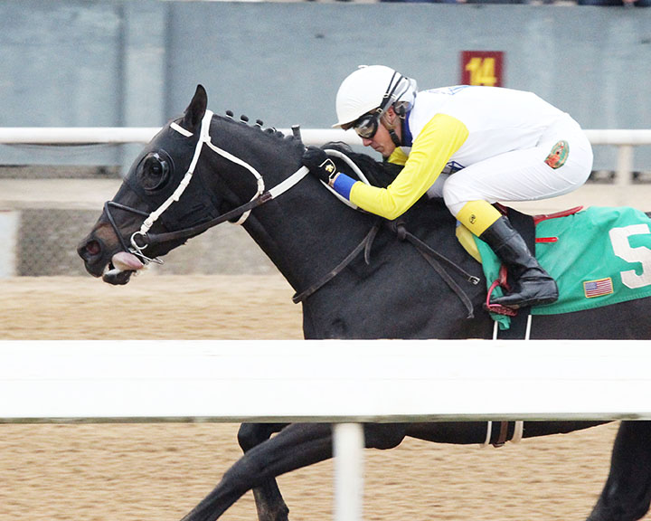 Title Ready wins a Feb. 1 allowance