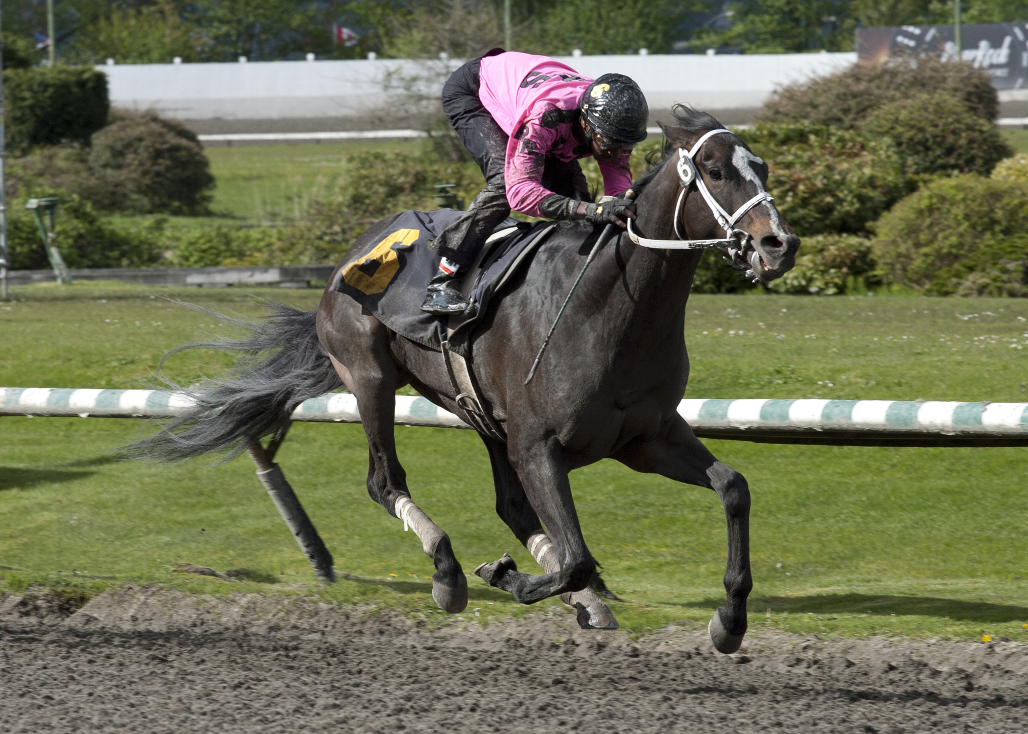 Title Contender 4-27-2014