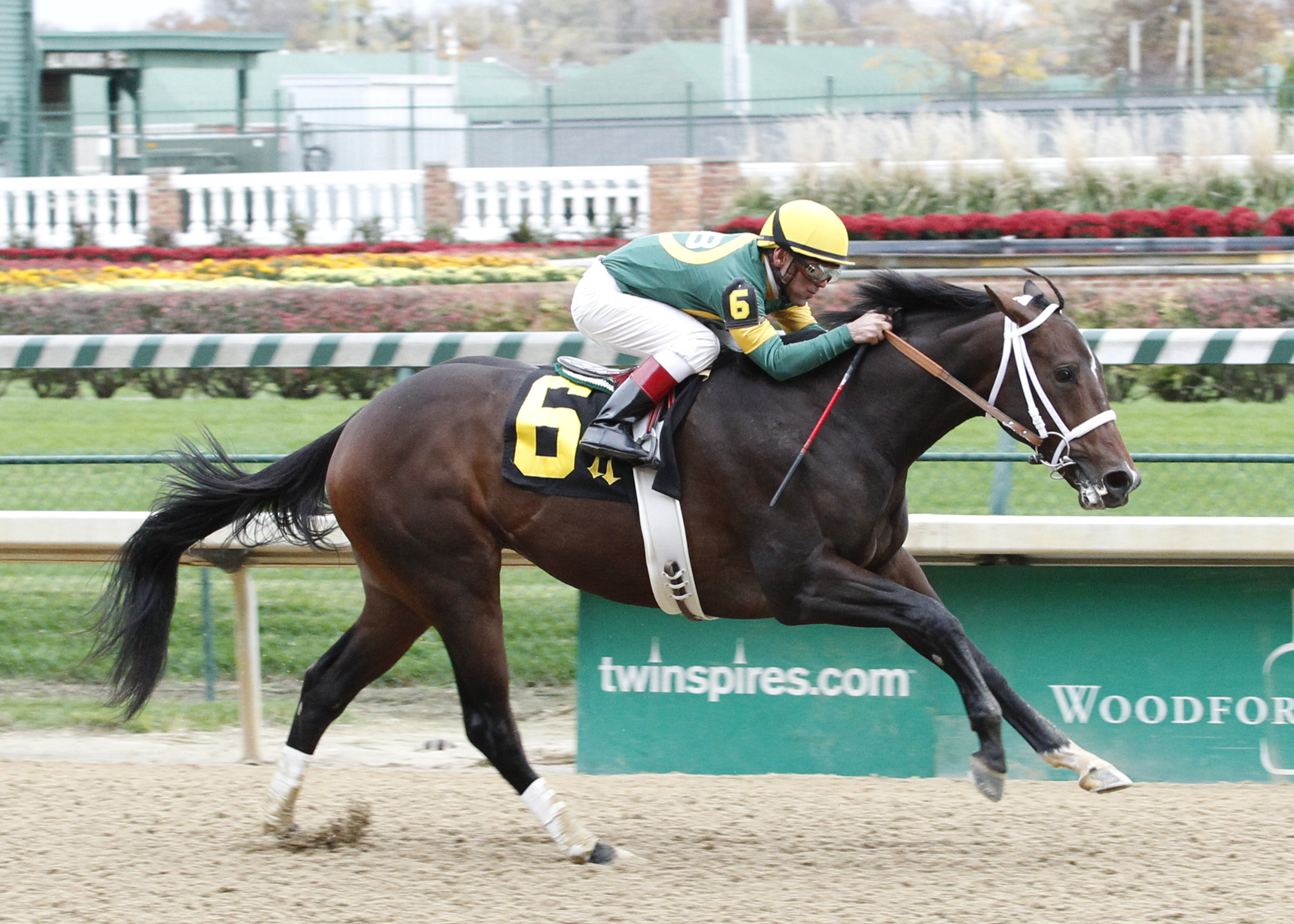 Titletown Five, maiden win