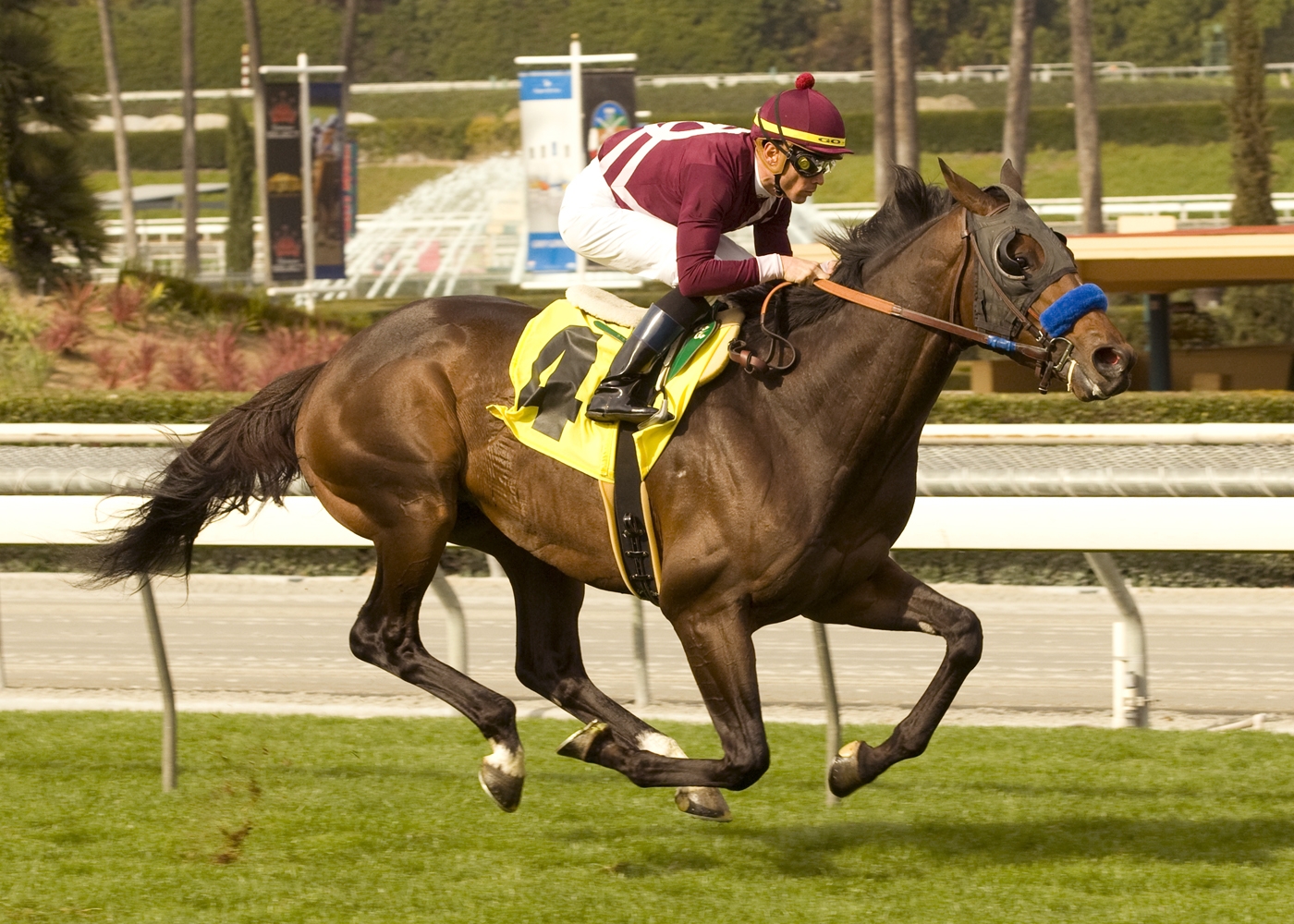 Tiz Argent