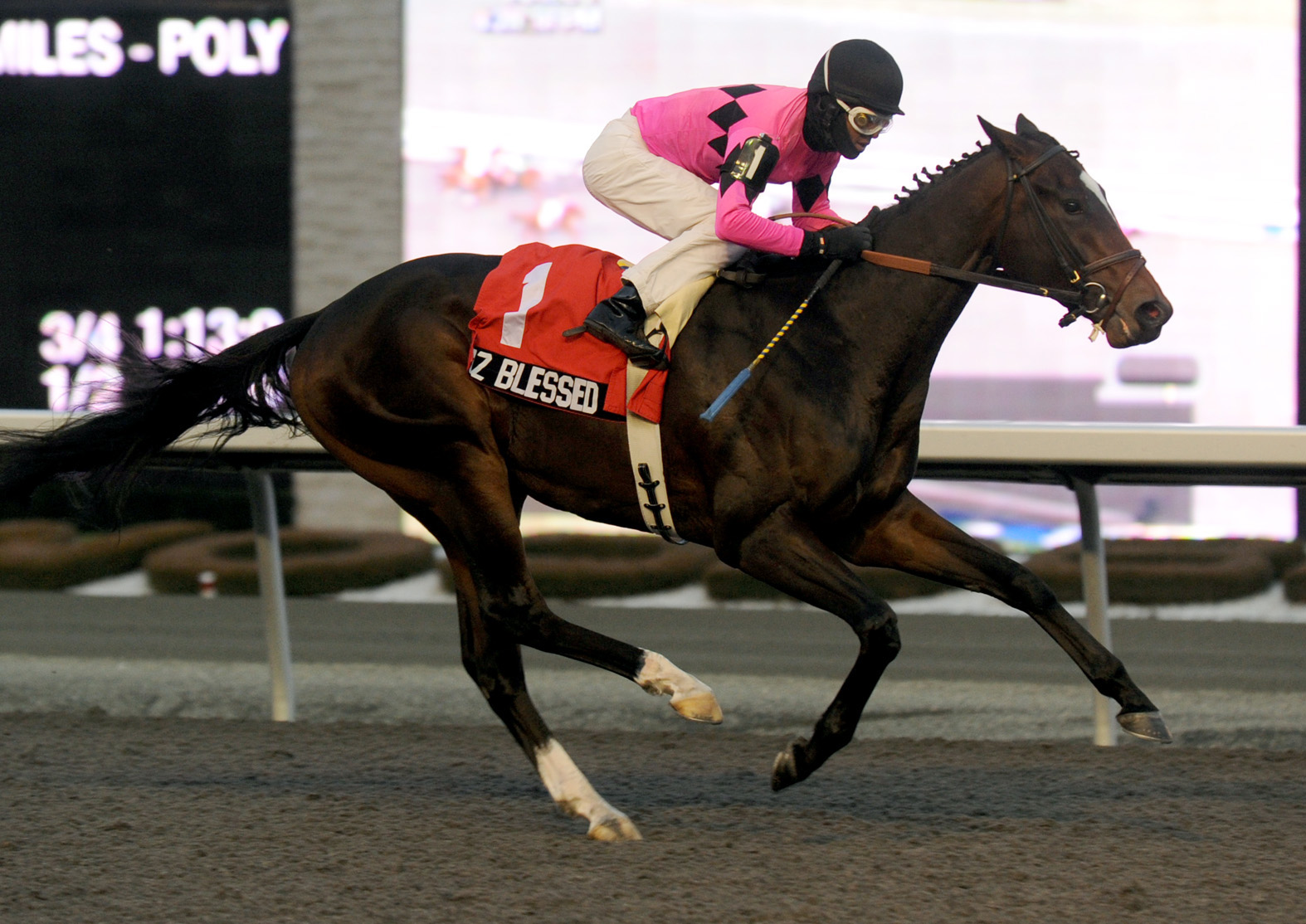 Tiz Blessed wins Display Stakes