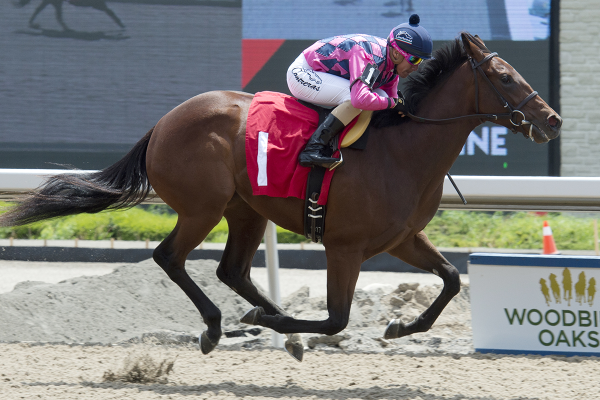 Tiz Breathtaking wins a June 10 maiden race