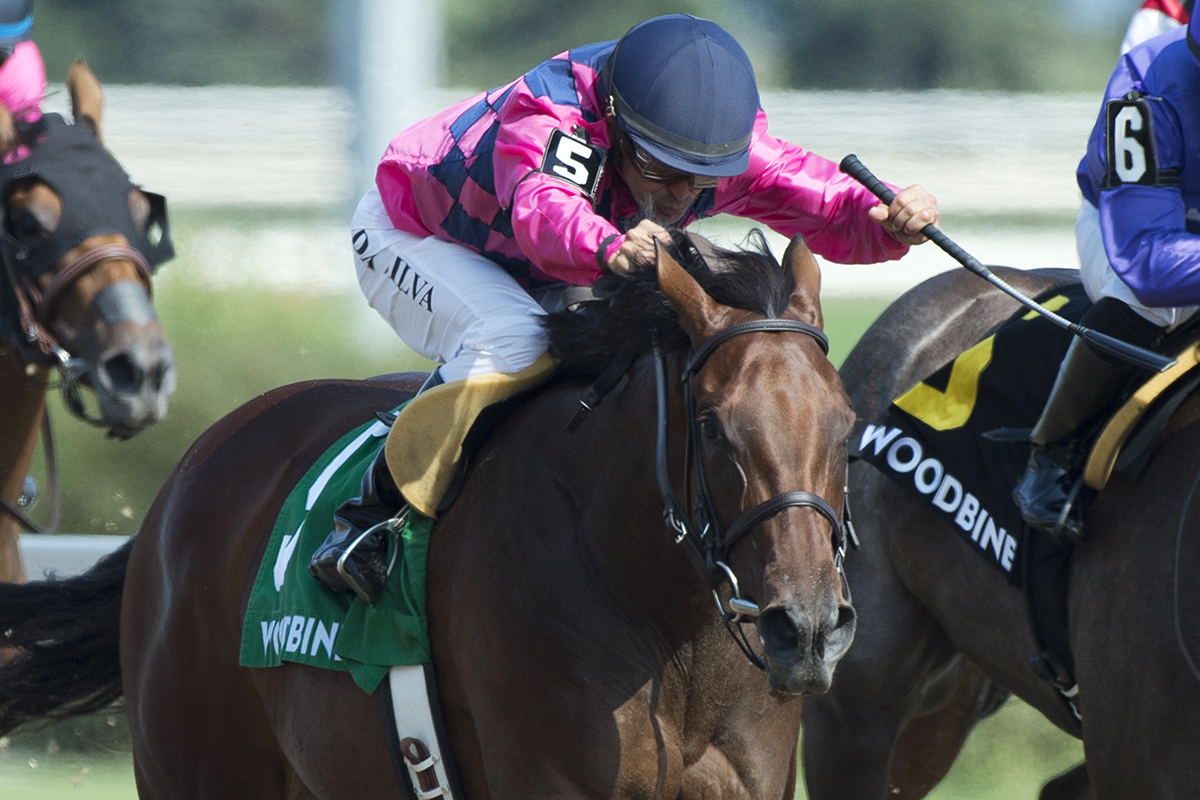 Tiz Breathtaking wins the 2018 Shady Well Stakes