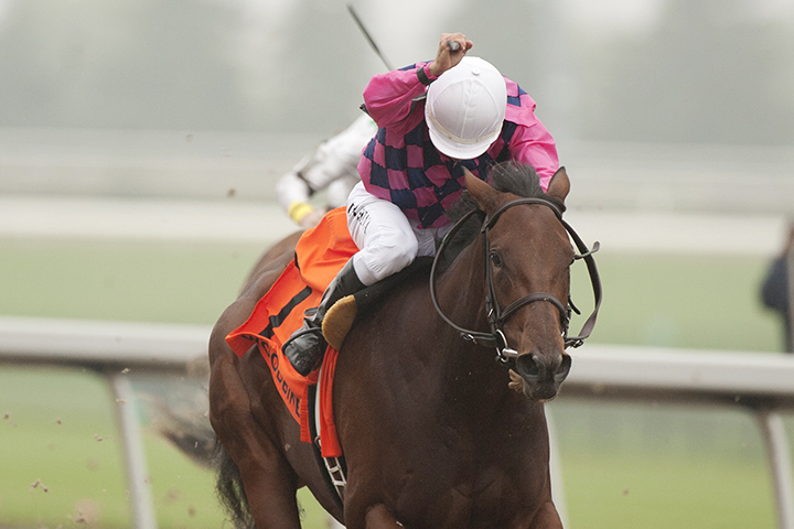 Tiz Breathtaking wins the 2018 Mazarine Stakes