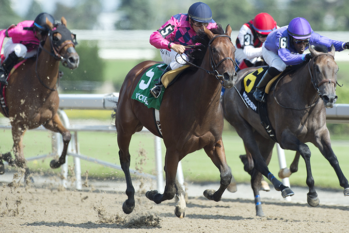 Tiz Breathtaking wins the 2018 Shady Well Stakes