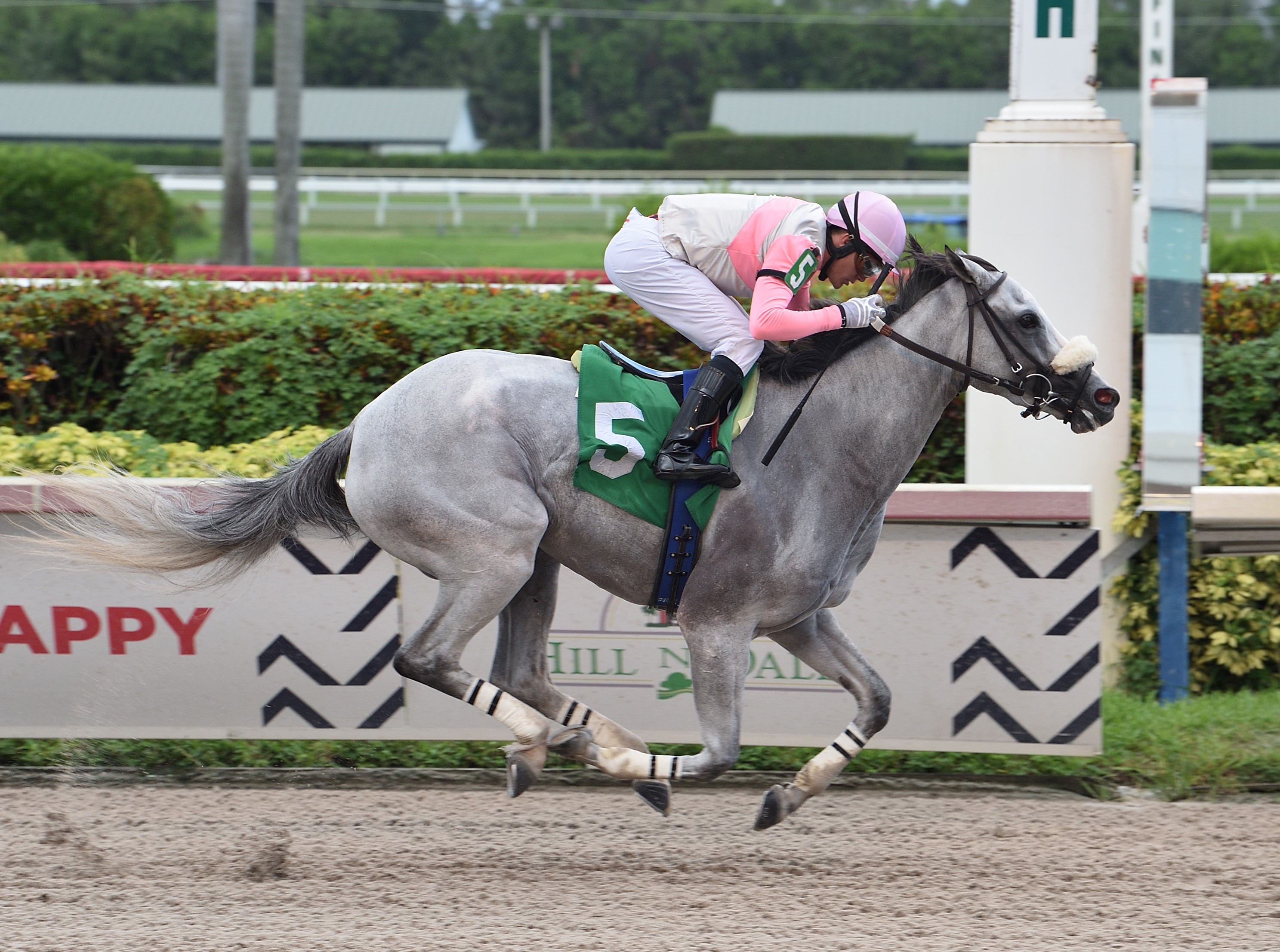 Tiz Enough wins at Gulfstream Aug 20 2020