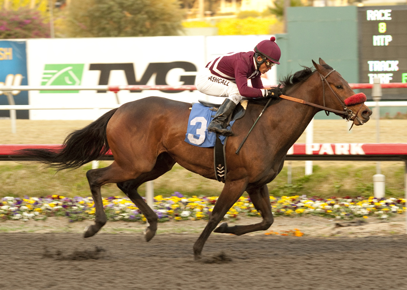 Tiz Flirtatious 12-11-2011