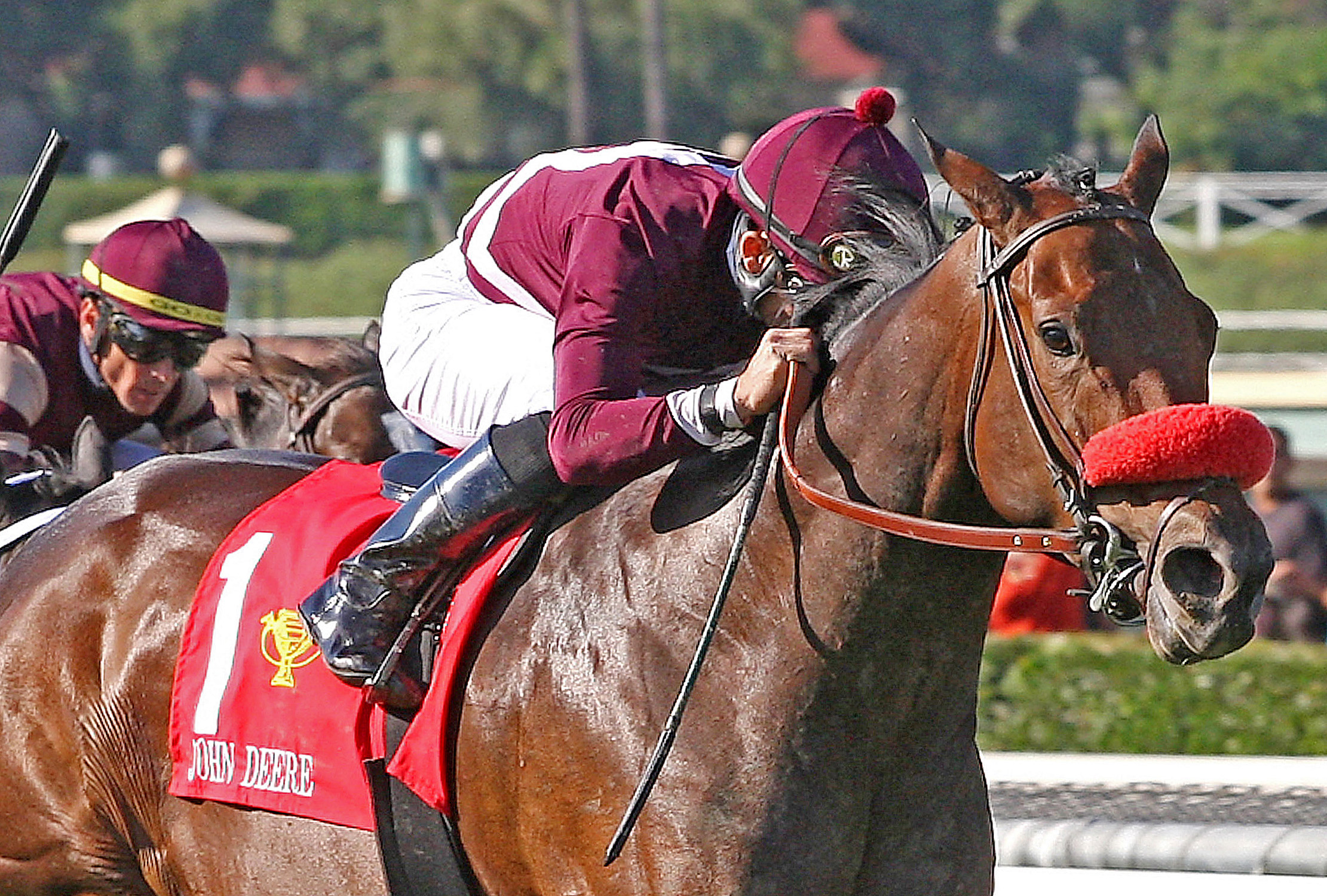 Tiz Flirtatious, Oct. 13, 2012
