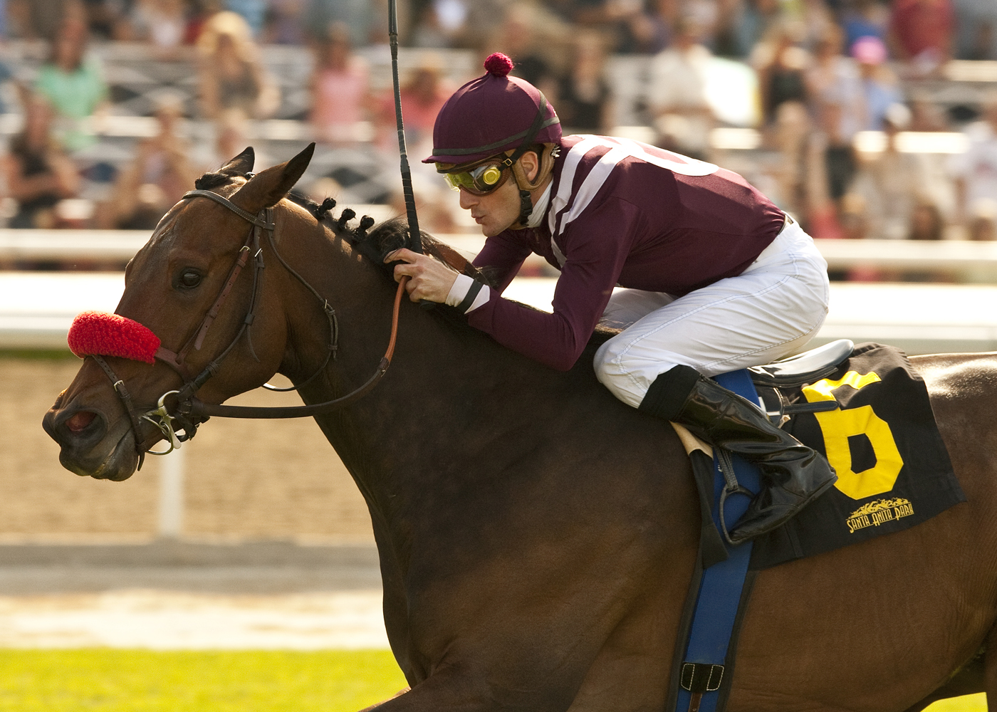 Tiz Flirtatious, Santa Ana Stakes