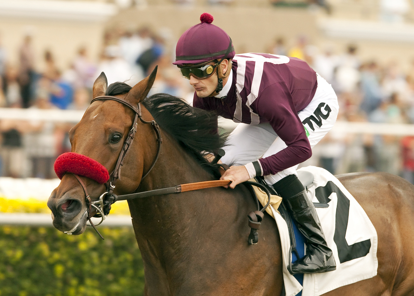 Tiz Flirtatious, Mabee Stakes