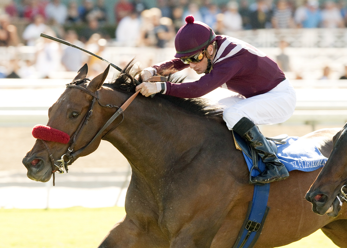 Tiz Flirtatious wins the Rodeo Drive Stakes