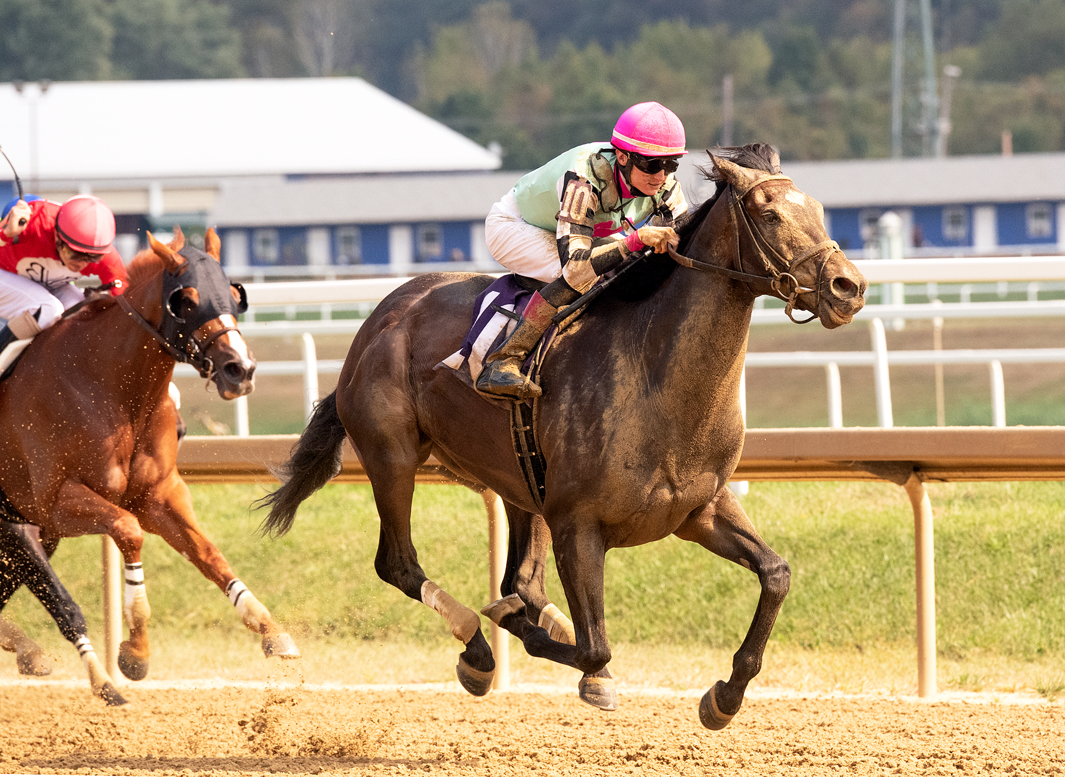 Tiz He the One wins the 2019 Challedon Stakes