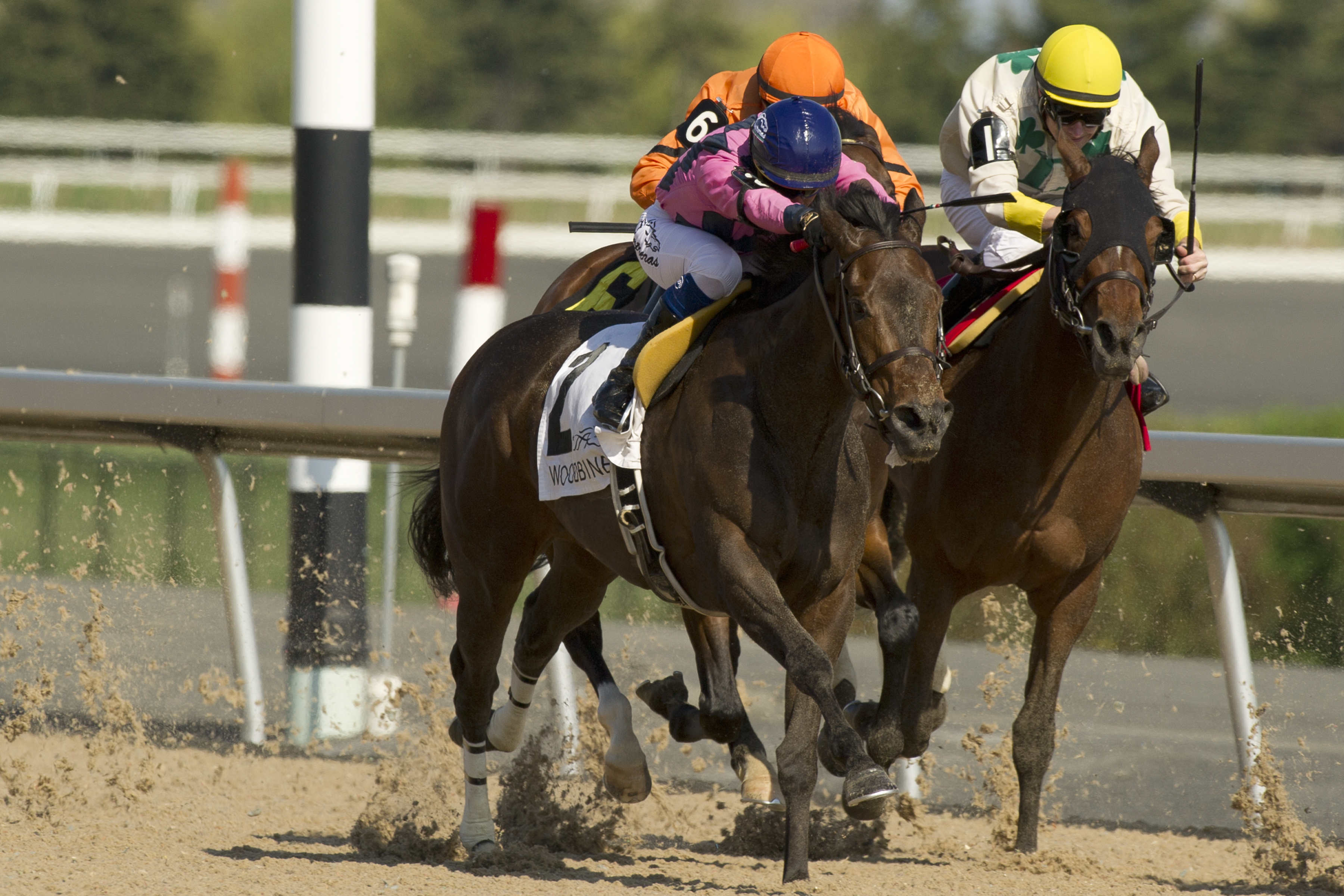 Tiz Imaginary 5-22-2016