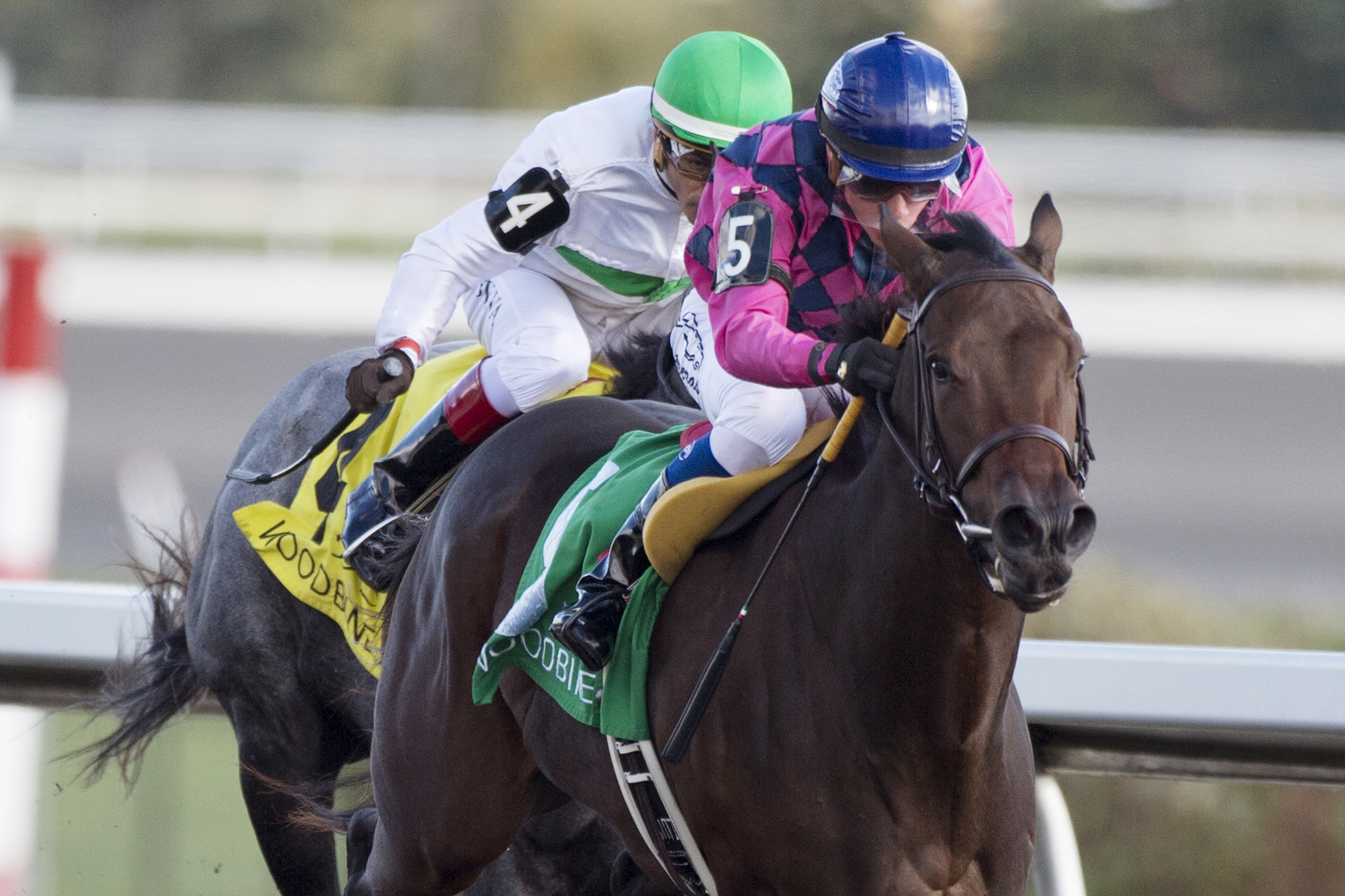 Tiz Imaginary wins the Fanfreluche Stakes