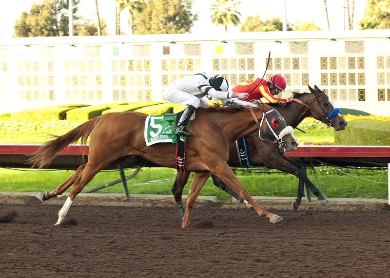 Tiz Midnight 12-6-2014